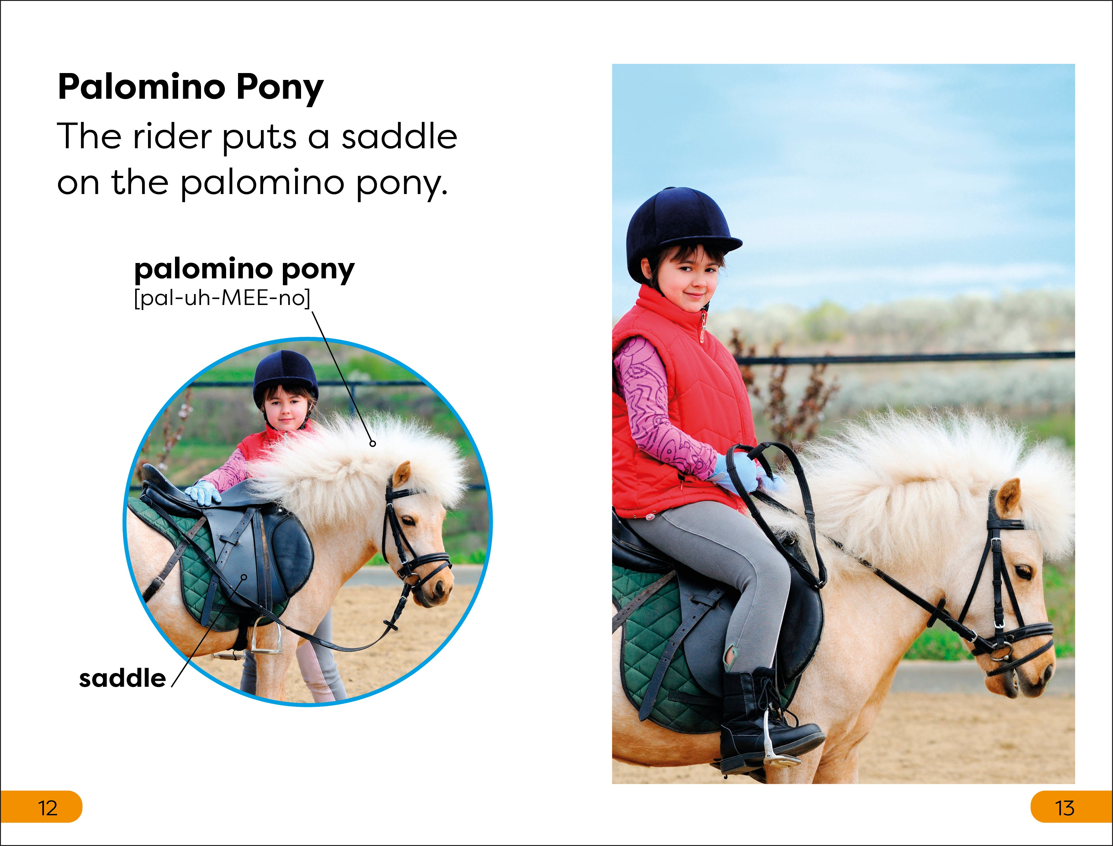 DK Super Readers Level 1 box set-Spread, Image, (PRHC, Design, Do, Not, Use)-4