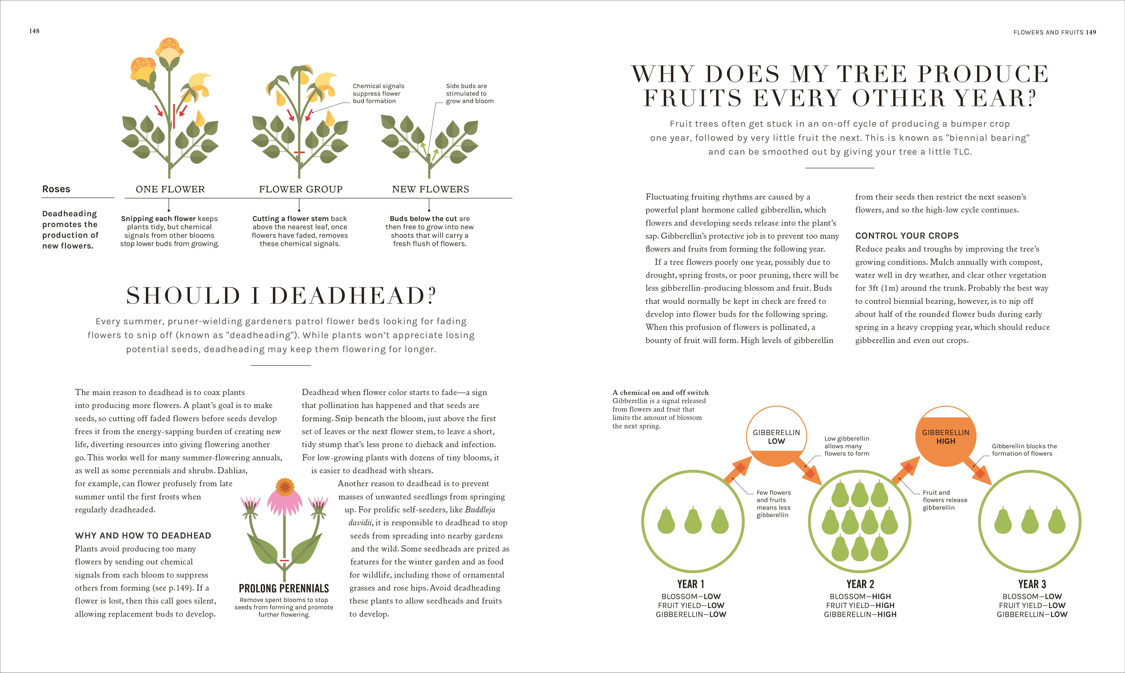The Science of Gardening-image