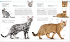 The Cat Encyclopedia-Spread, Image, (PRHC, Design, Do, Not, Use)-5