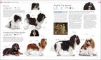The Dog Encyclopedia-image