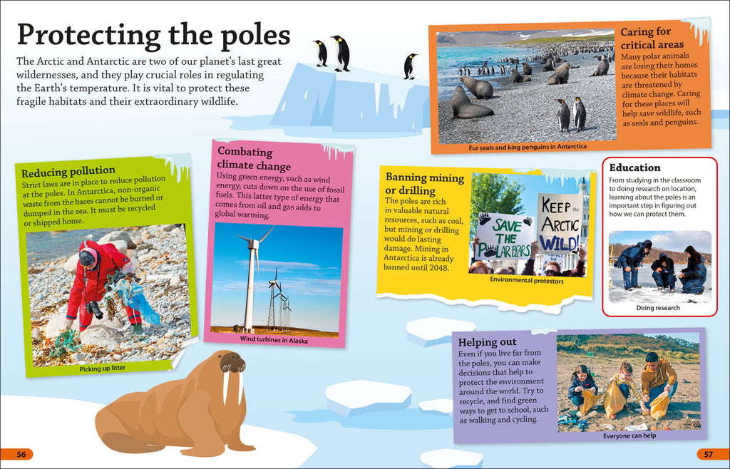 DKFindout! Arctic and Antarctic-Spread, Image, (PRHC, Design, Do, Not, Use)-3