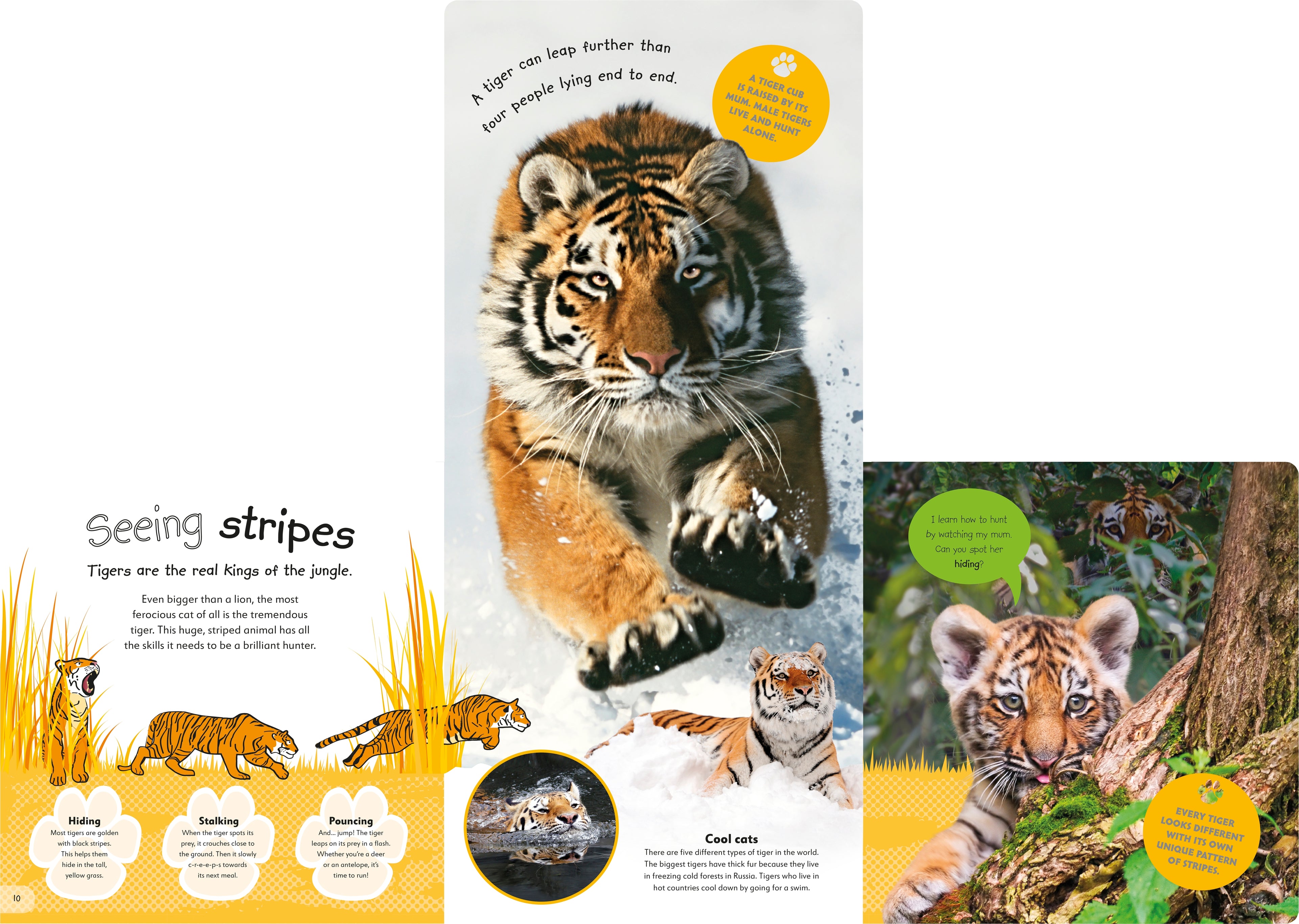 The Incredible Fold-Out Book of Animals