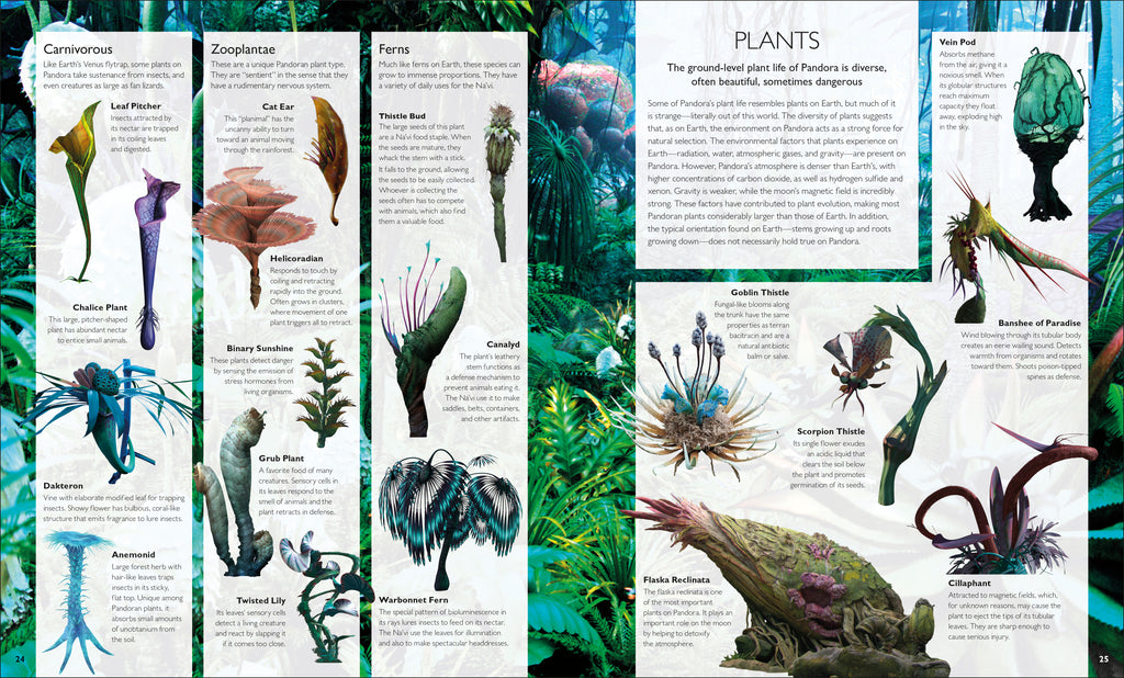 The World of Avatar-Spread, Image, (PRHC, Design, Do, Not, Use)-2