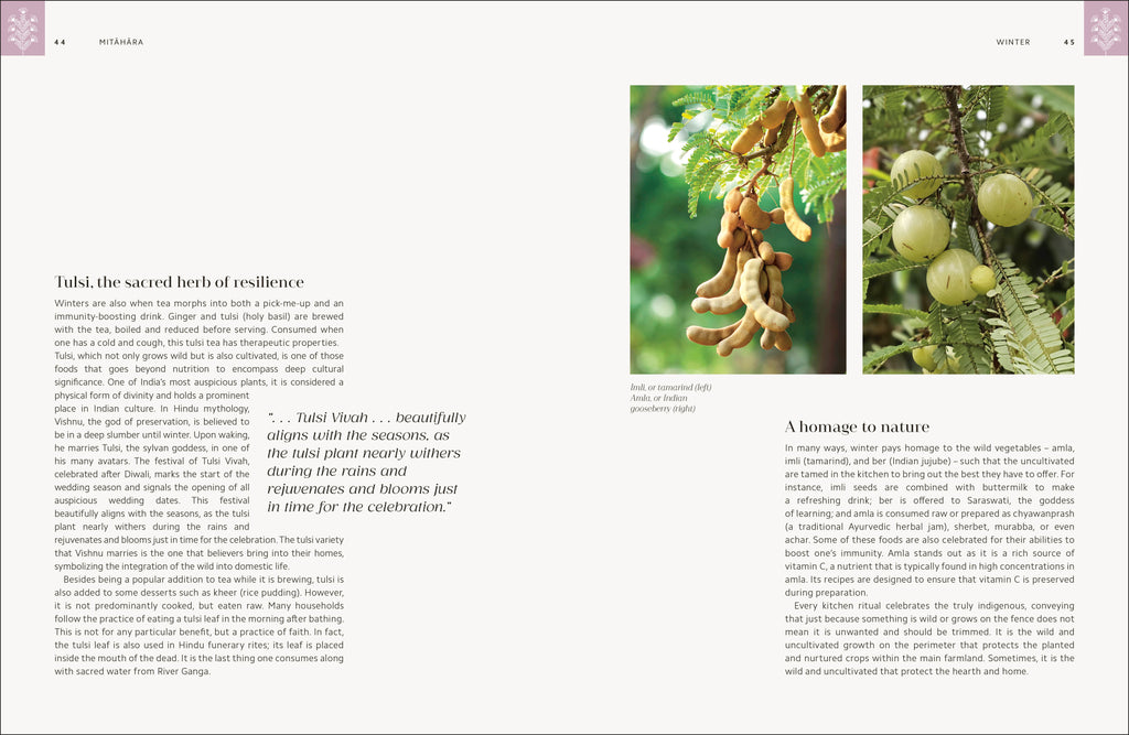 Mitahara-Spread, Image, (PRHC, Design, Do, Not, Use)-1