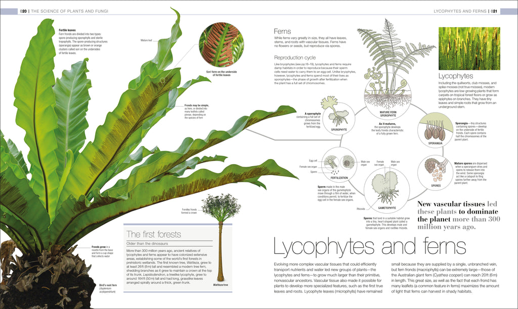 Plants and Fungi-Spread, Image, (PRHC, Design, Do, Not, Use)-1