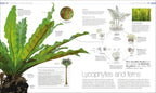 Plants and Fungi-Spread, Image, (PRHC, Design, Do, Not, Use)-1