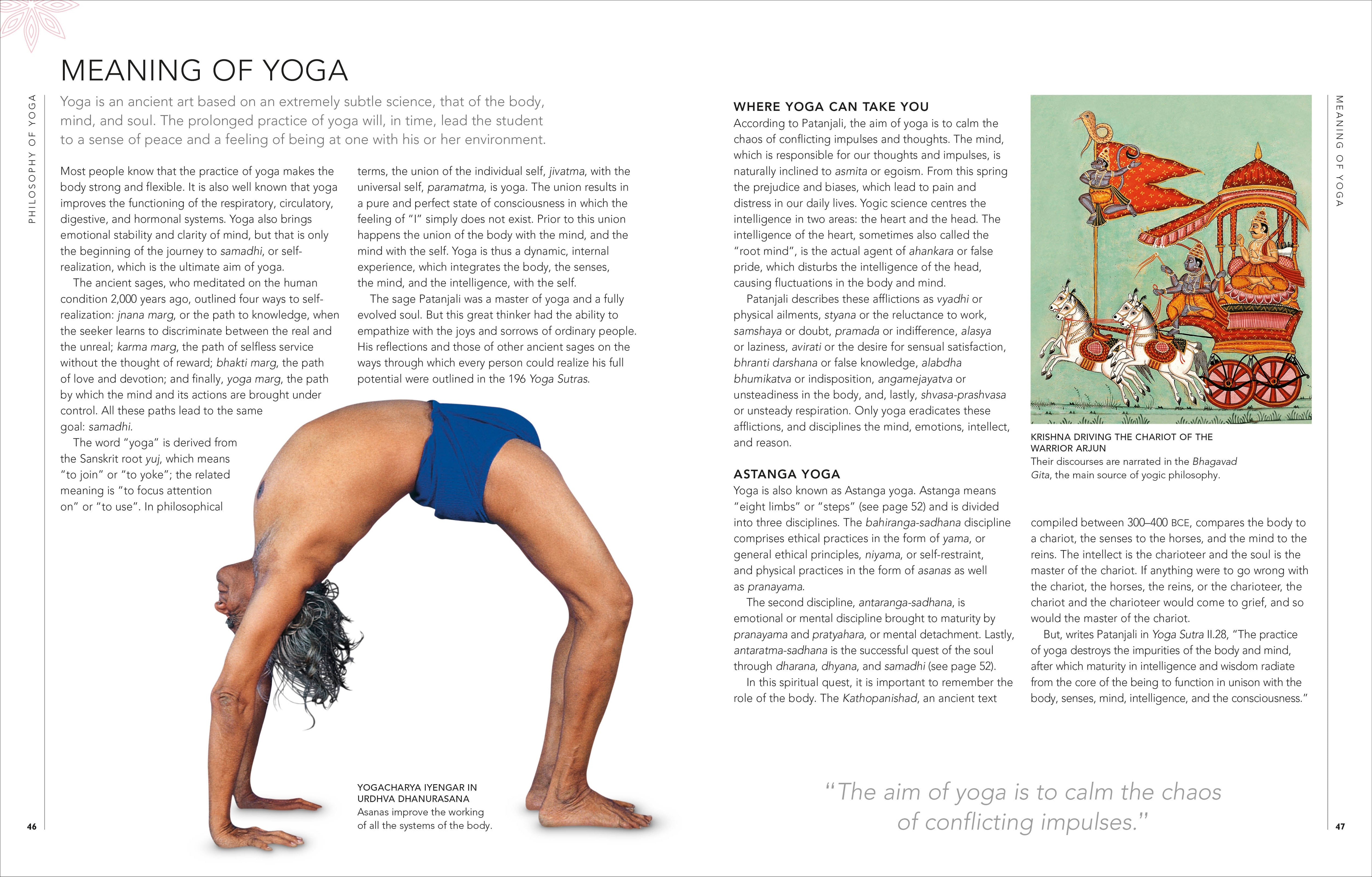B.K.S. Iyengar Yoga The Path to Holistic Health – DK