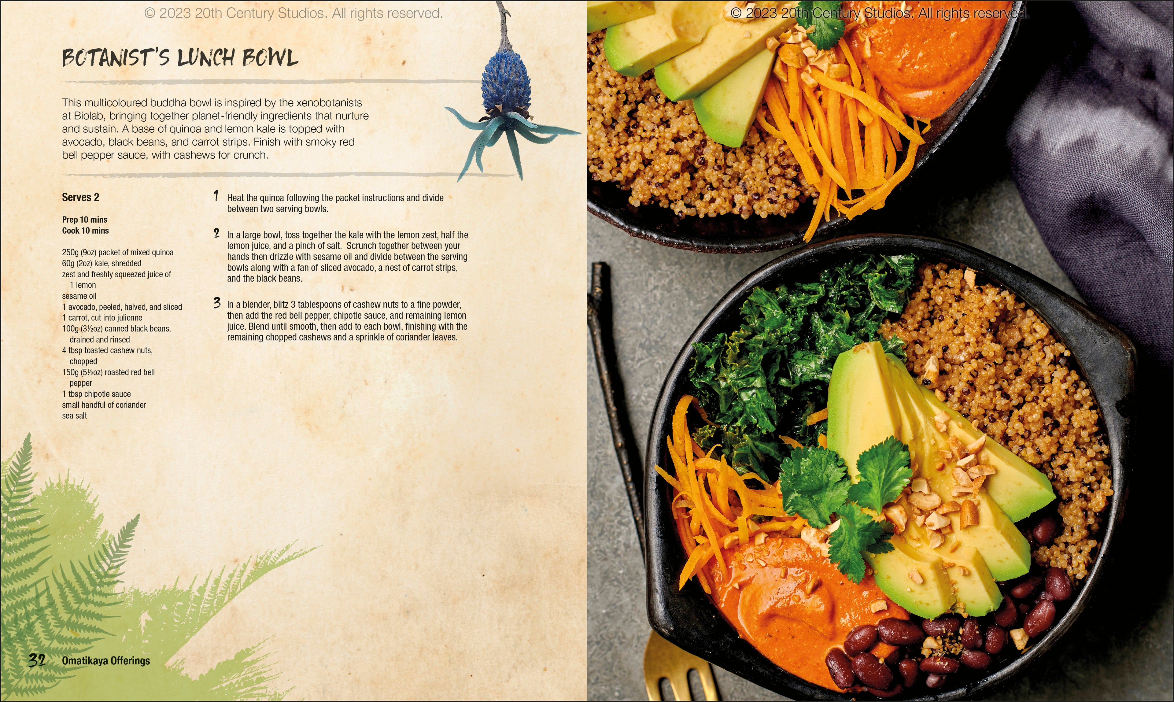 Avatar The Official Cookbook of Pandora-Spread, Image, (PRHC, Design, Do, Not, Use)-6