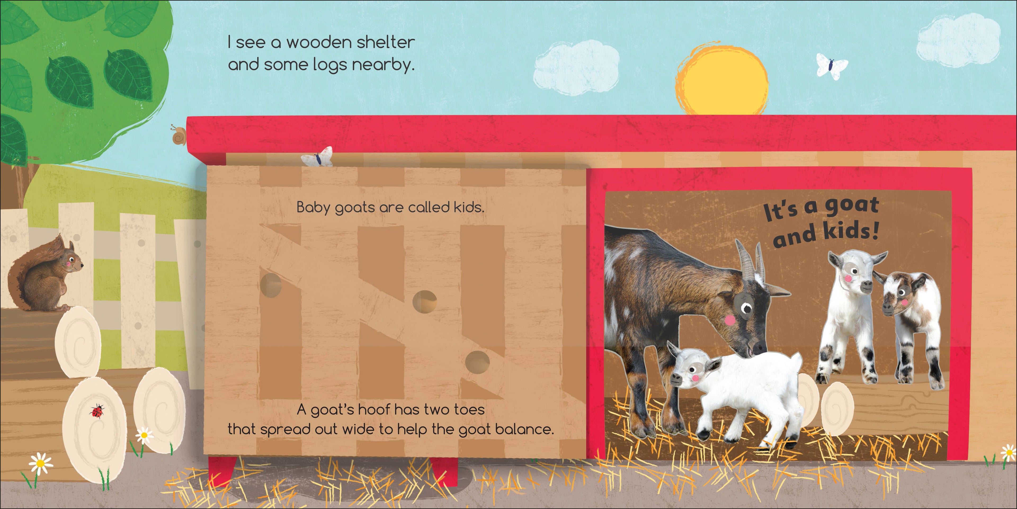 Flip Flap Find! Farm-Spread, Image, (PRHC, Design, Do, Not, Use)-2