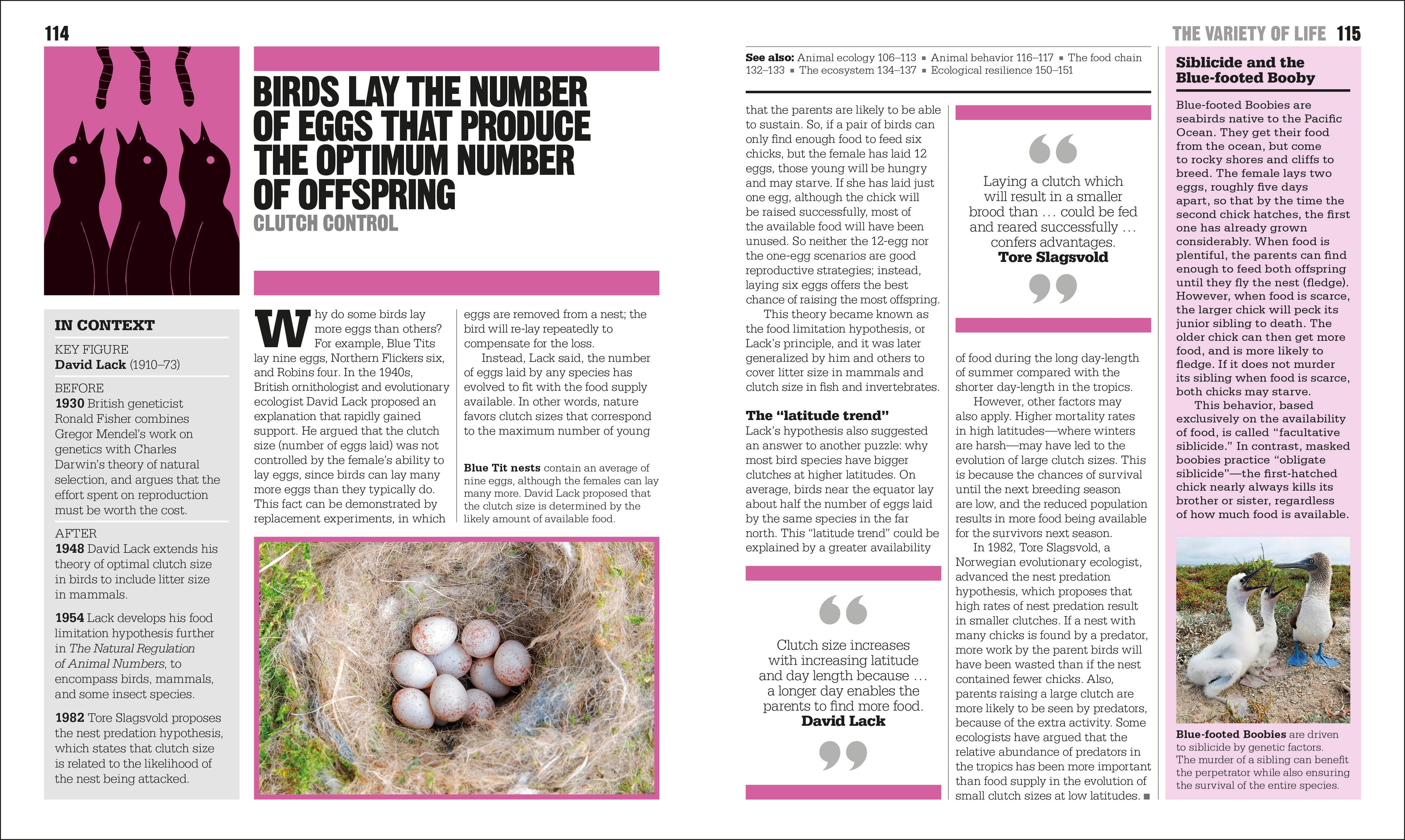 The Ecology Book-Spread, Image, (PRHC, Design, Do, Not, Use)-3