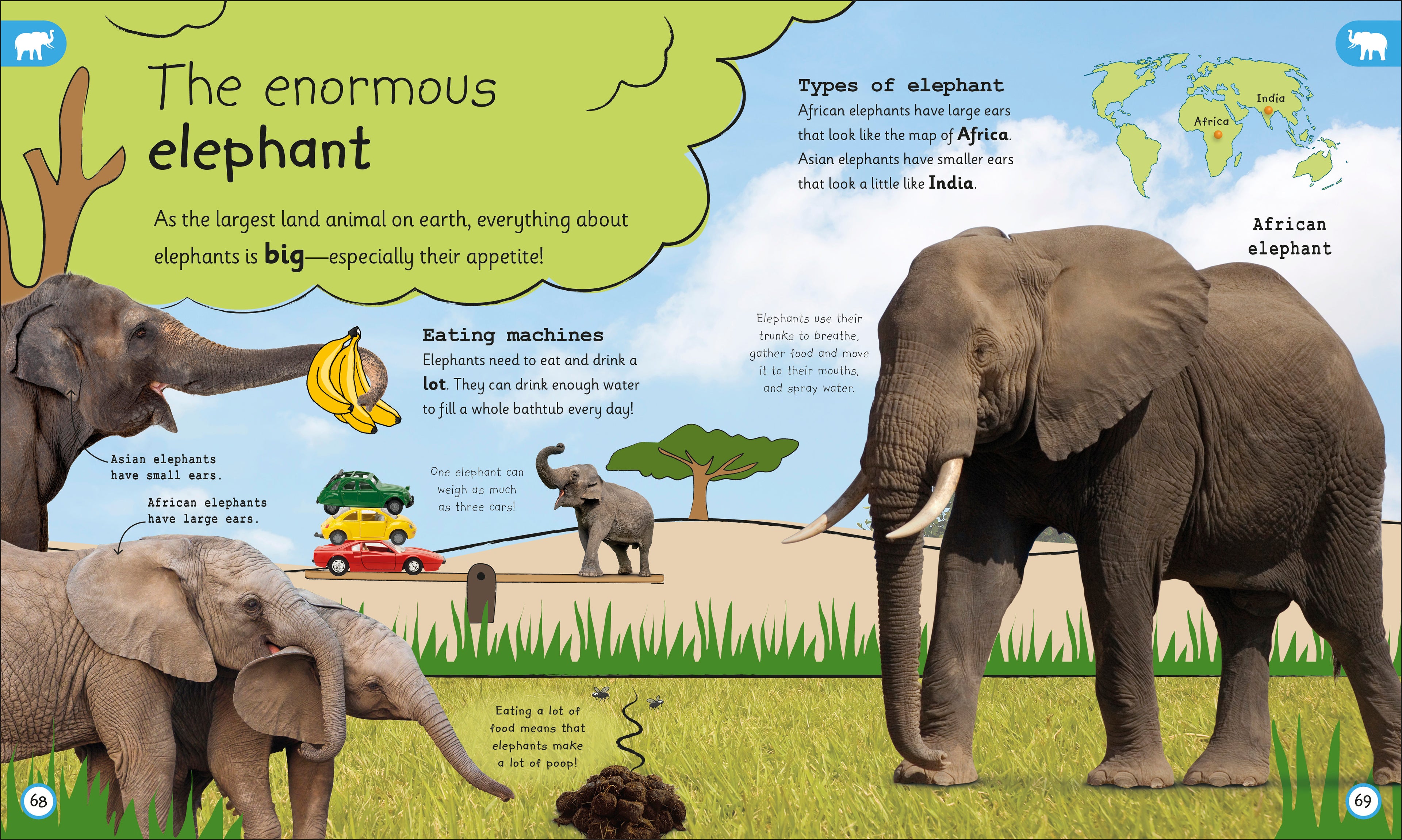 My Encyclopedia of Very Important Animals-Spread, Image, (PRHC, Design, Do, Not, Use)-2