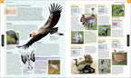Bird-Spread, Image, (PRHC, Design, Do, Not, Use)-9