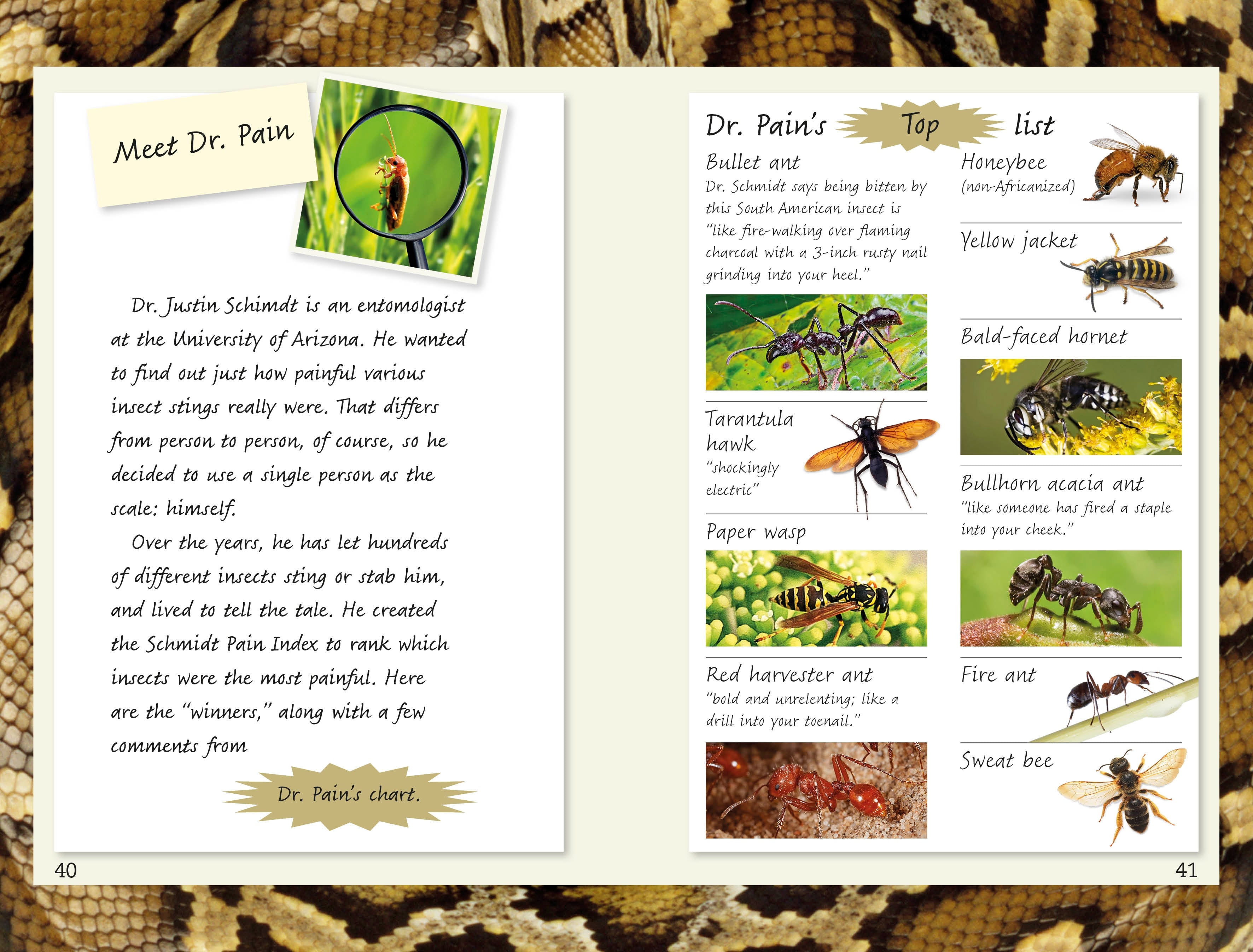 DK Readers L4: Spiders and Other Deadly Animals