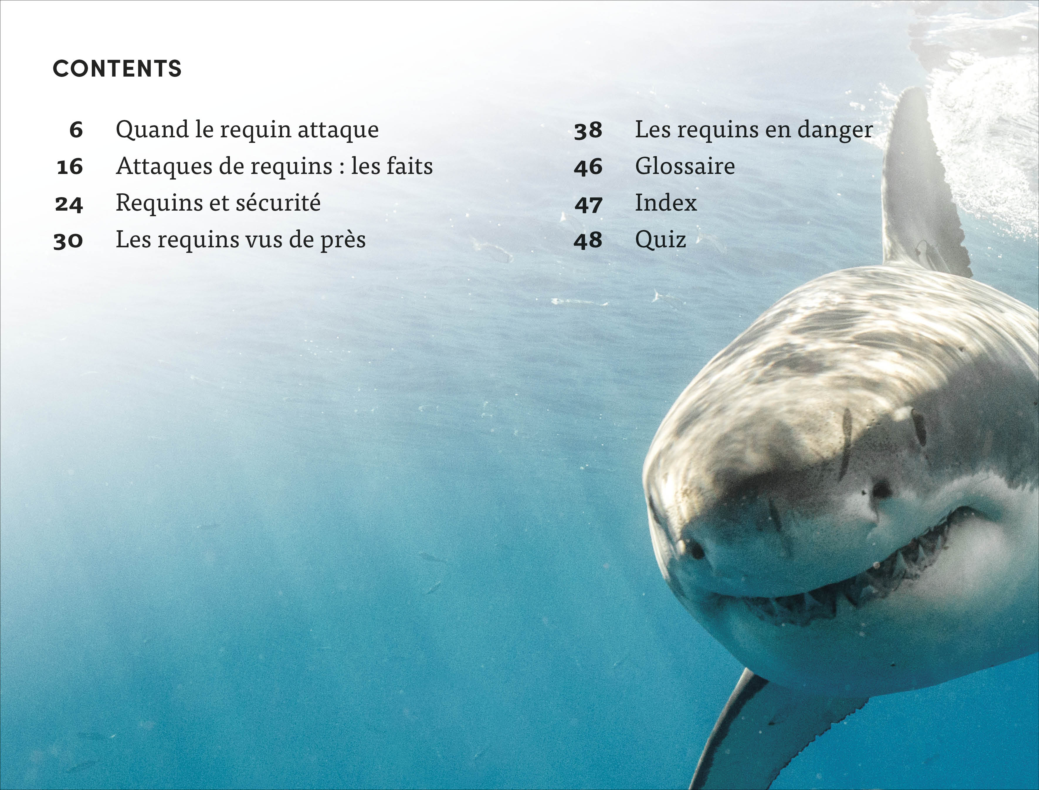 DK Super Readers Level 4 French translation Shark Attack - Danger : Requins-Spread, Image, (PRHC, Design, Do, Not, Use)-1