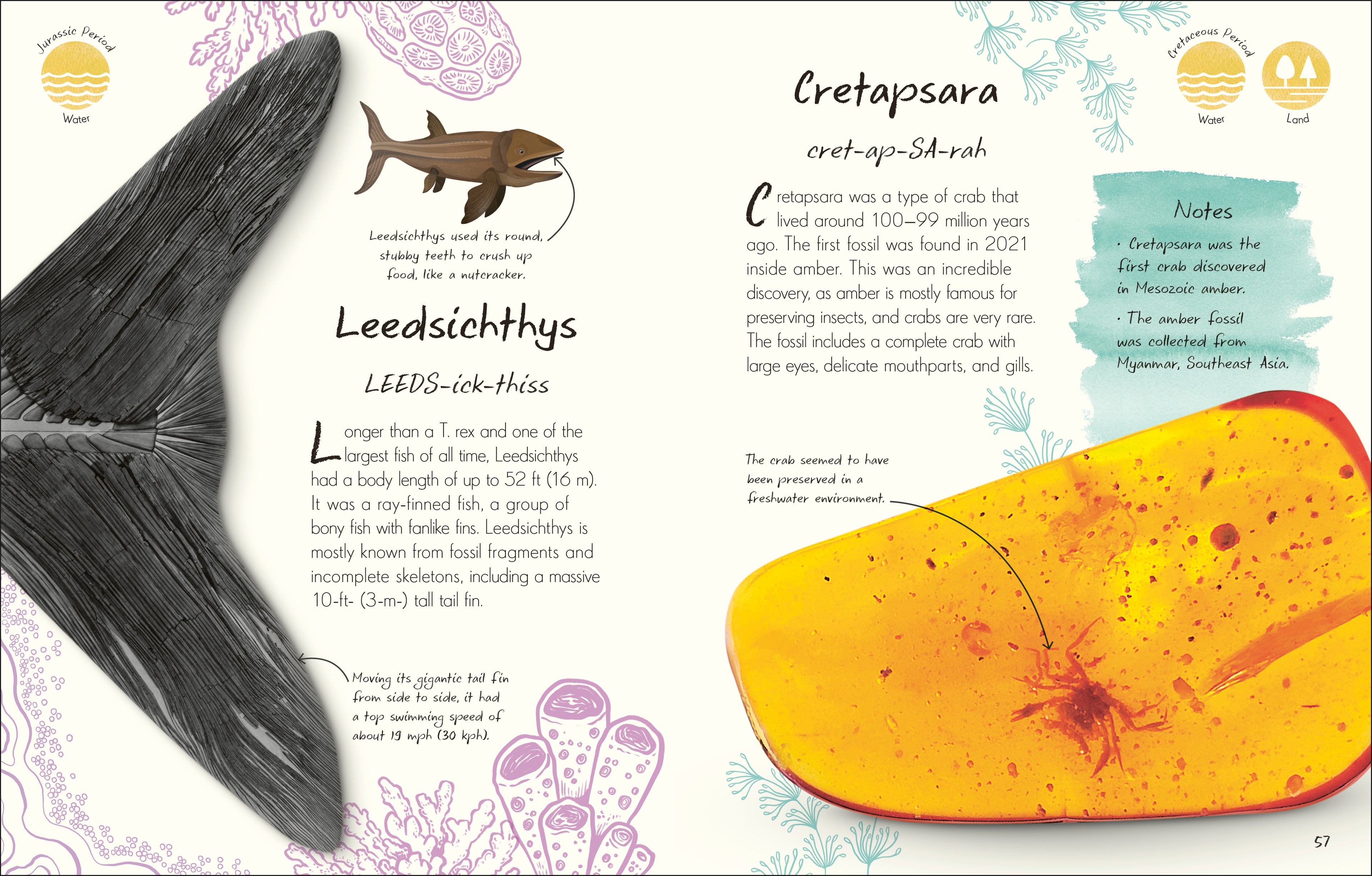 An Anthology of Fossils-Spread, Image, (PRHC, Design, Do, Not, Use)-1