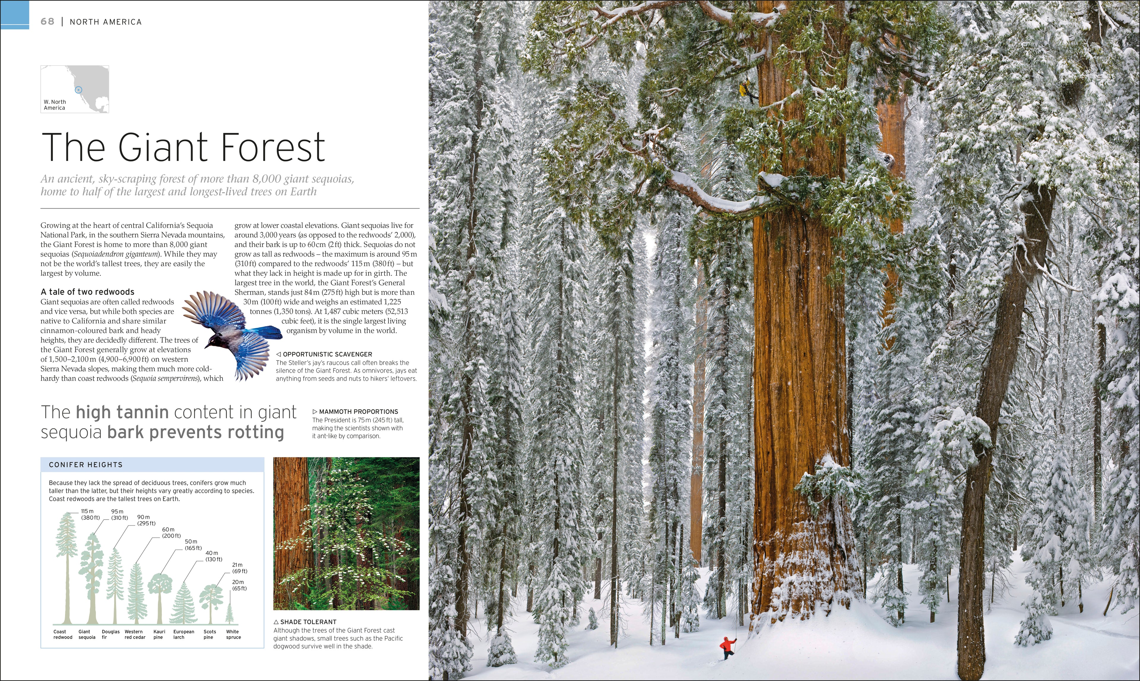 Natural Wonders of the World-Spread, Image, (PRHC, Design, Do, Not, Use)-2