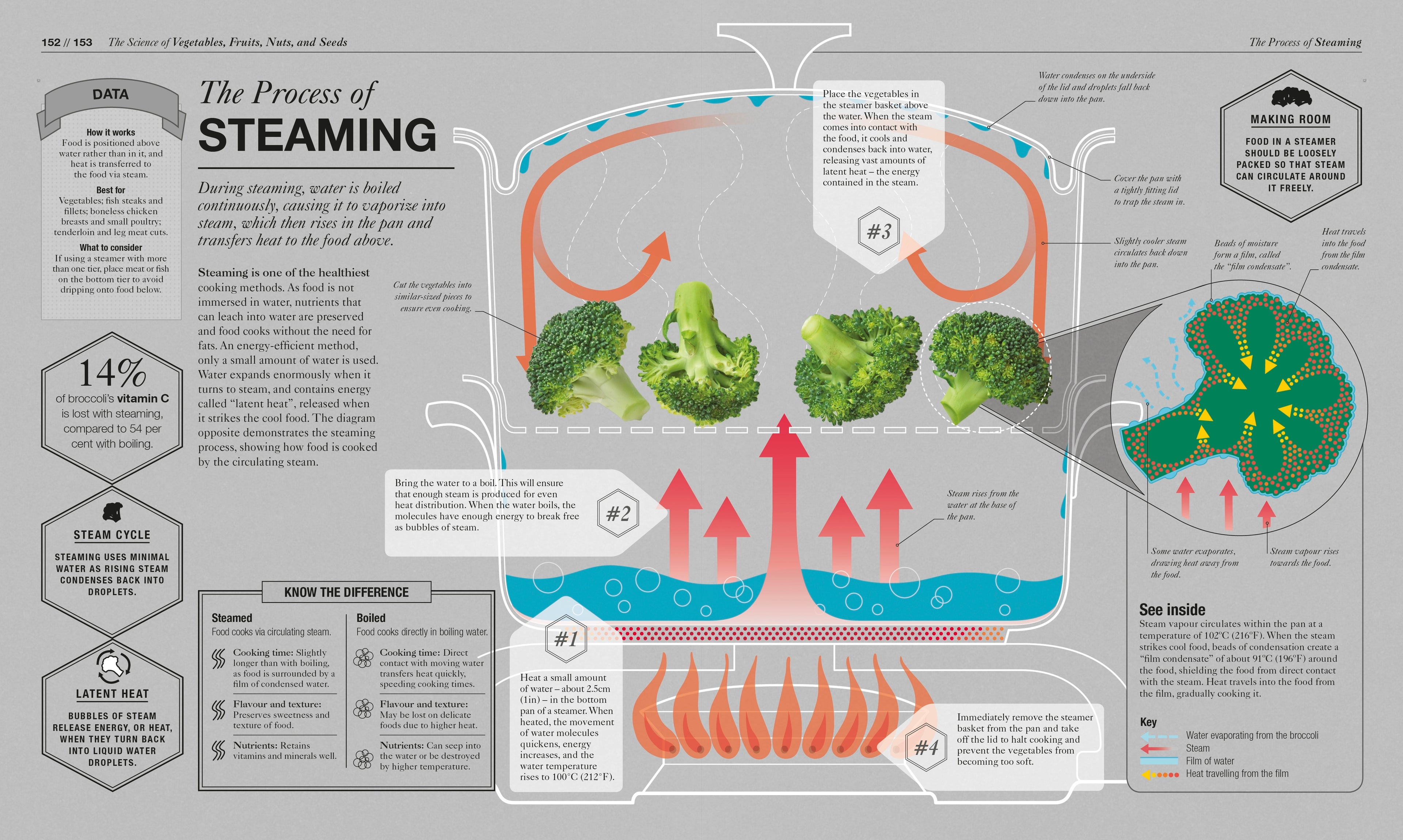 The Science of Cooking