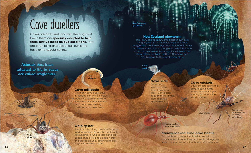 The Magic and Mystery of Nature Collection-Spread, Image, (PRHC, Design, Do, Not, Use)-4