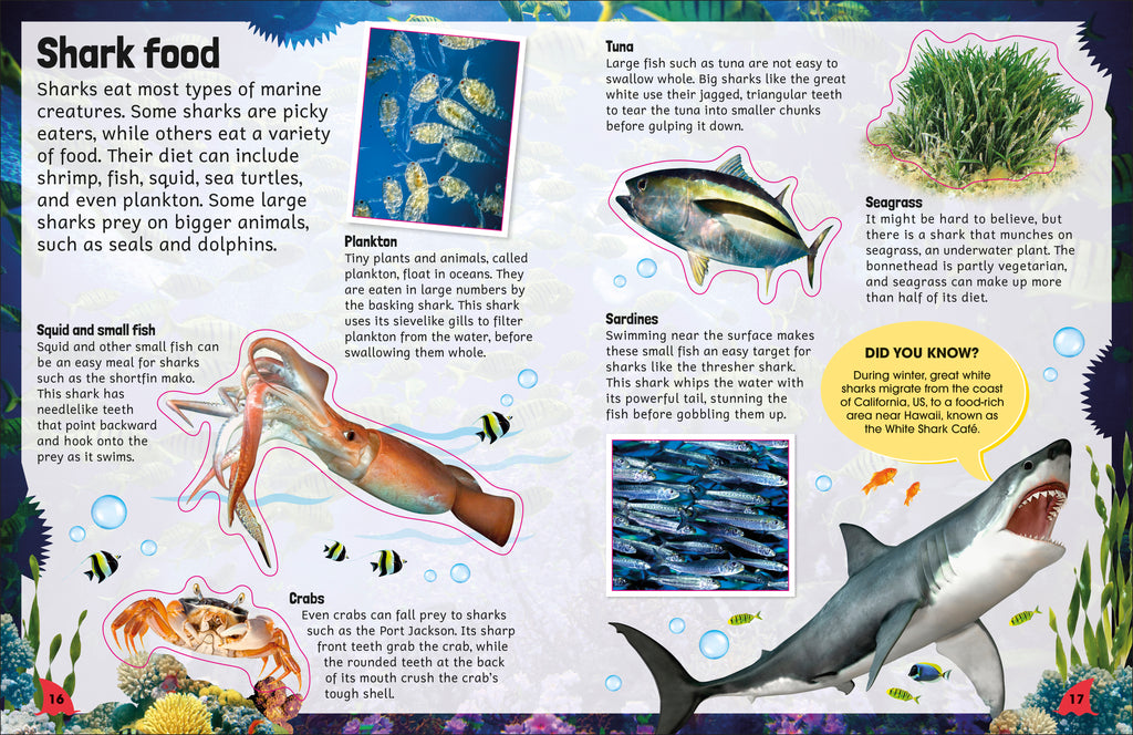 Sticker Encyclopedia Sharks-Spread, Image, (PRHC, Design, Do, Not, Use)-3