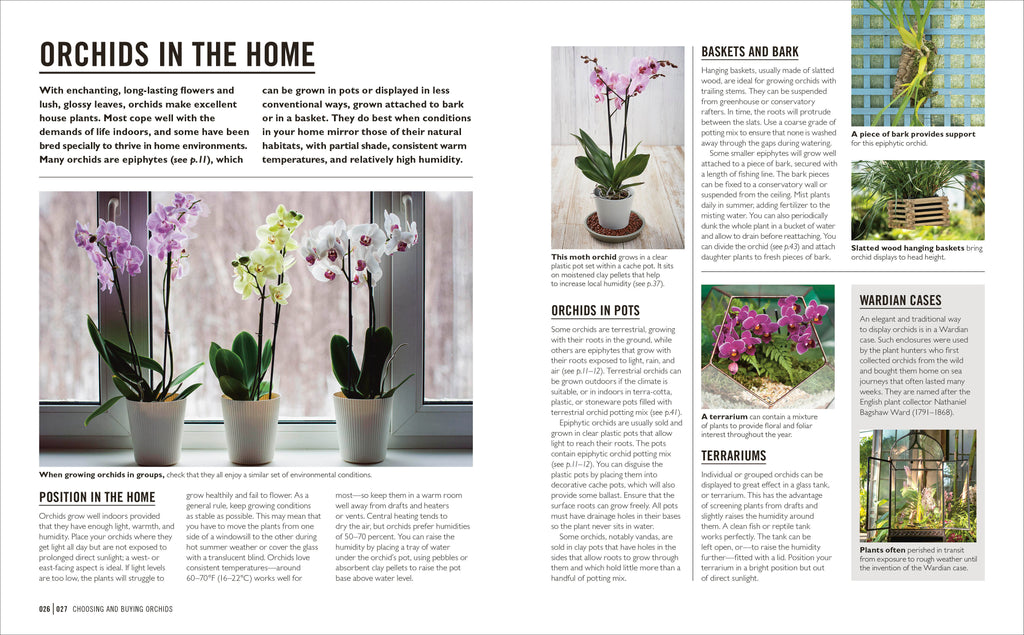 Grow Orchids-Spread, Image, (PRHC, Design, Do, Not, Use)-3