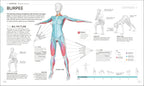 Science of HIIT-Spread, Image, (PRHC, Design, Do, Not, Use)-6