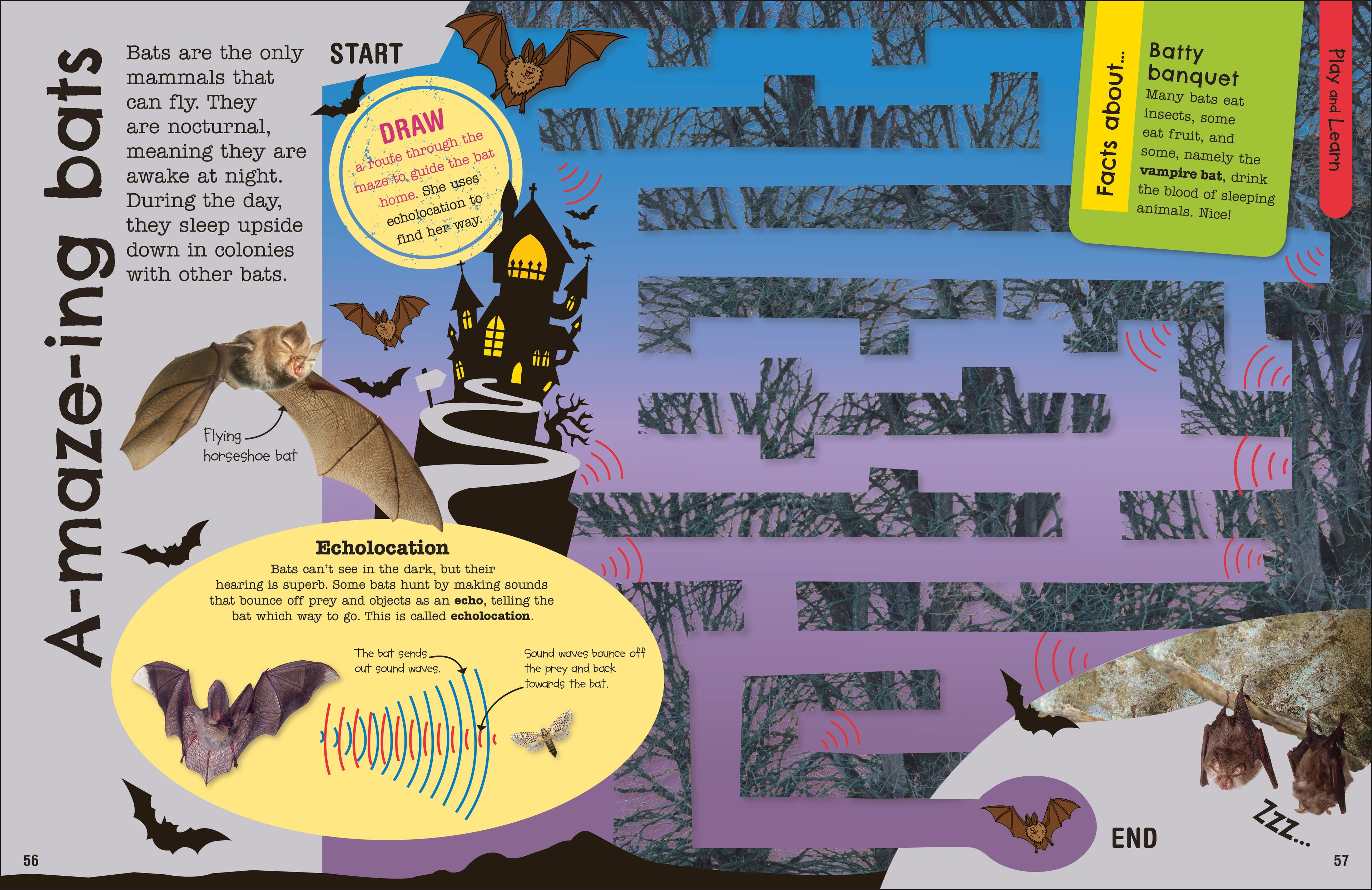 The Fact-Packed Activity Book: Animals-Spread, Image, (PRHC, Design, Do, Not, Use)-3