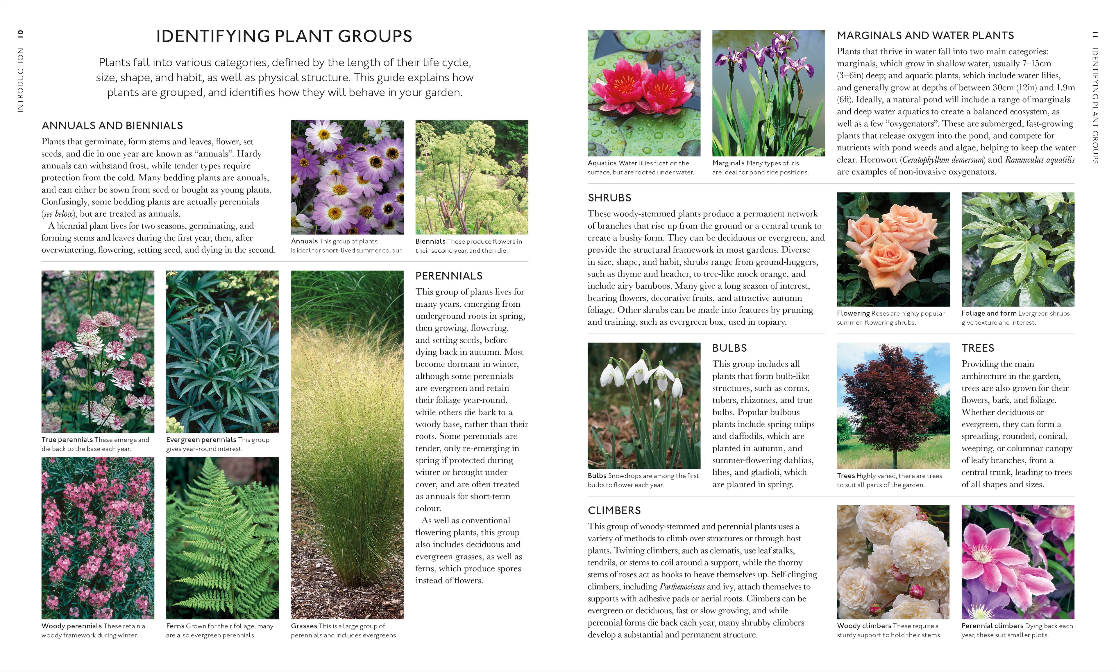 RHS What Plant Where Encyclopedia-Spread, Image, (PRHC, Design, Do, Not, Use)-2