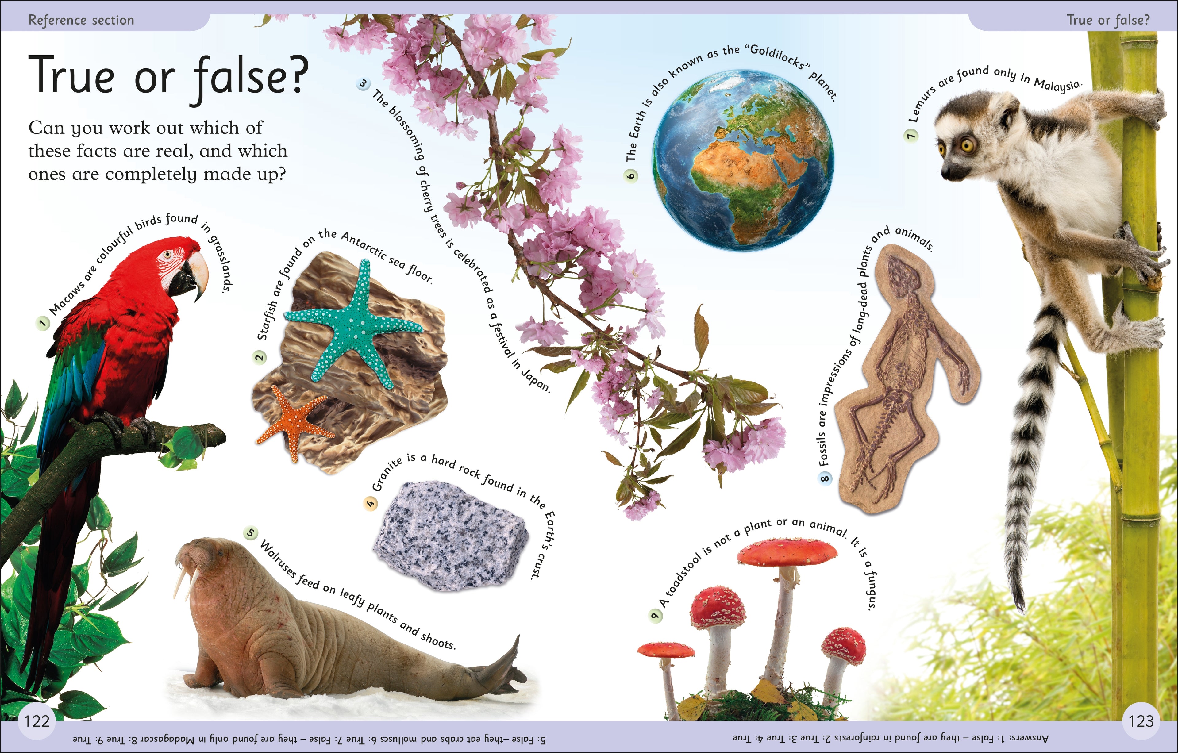 First Earth Encyclopedia