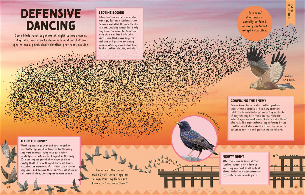 How Not to Get Eaten-Spread, Image, (PRHC, Design, Do, Not, Use)-2