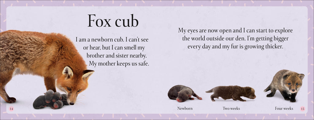 See How They Grow Forest-Spread, Image, (PRHC, Design, Do, Not, Use)-3