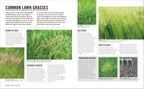 Grow Lawns-Spread, Image, (PRHC, Design, Do, Not, Use)-2