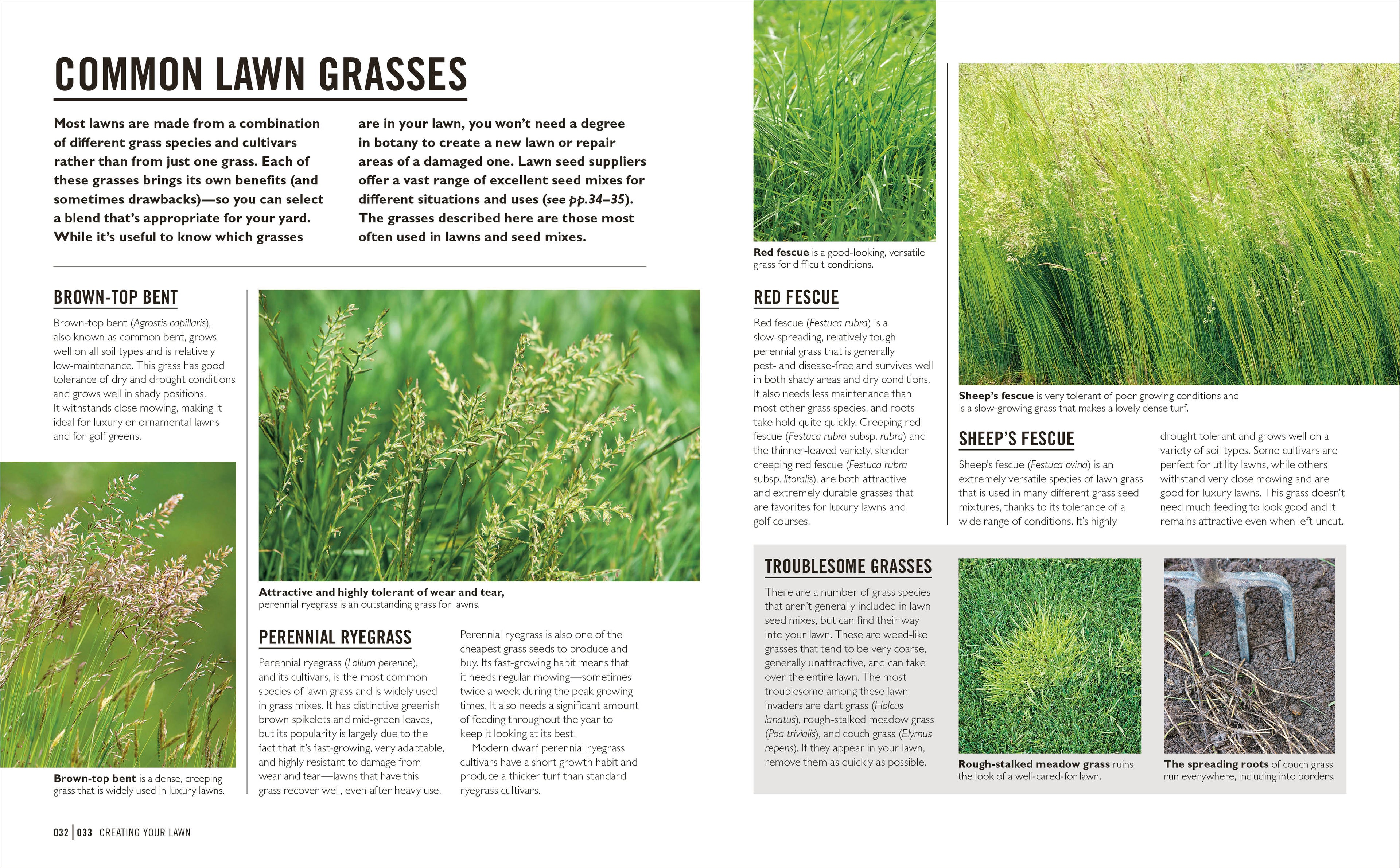 Grow Lawns-Spread, Image, (PRHC, Design, Do, Not, Use)-2