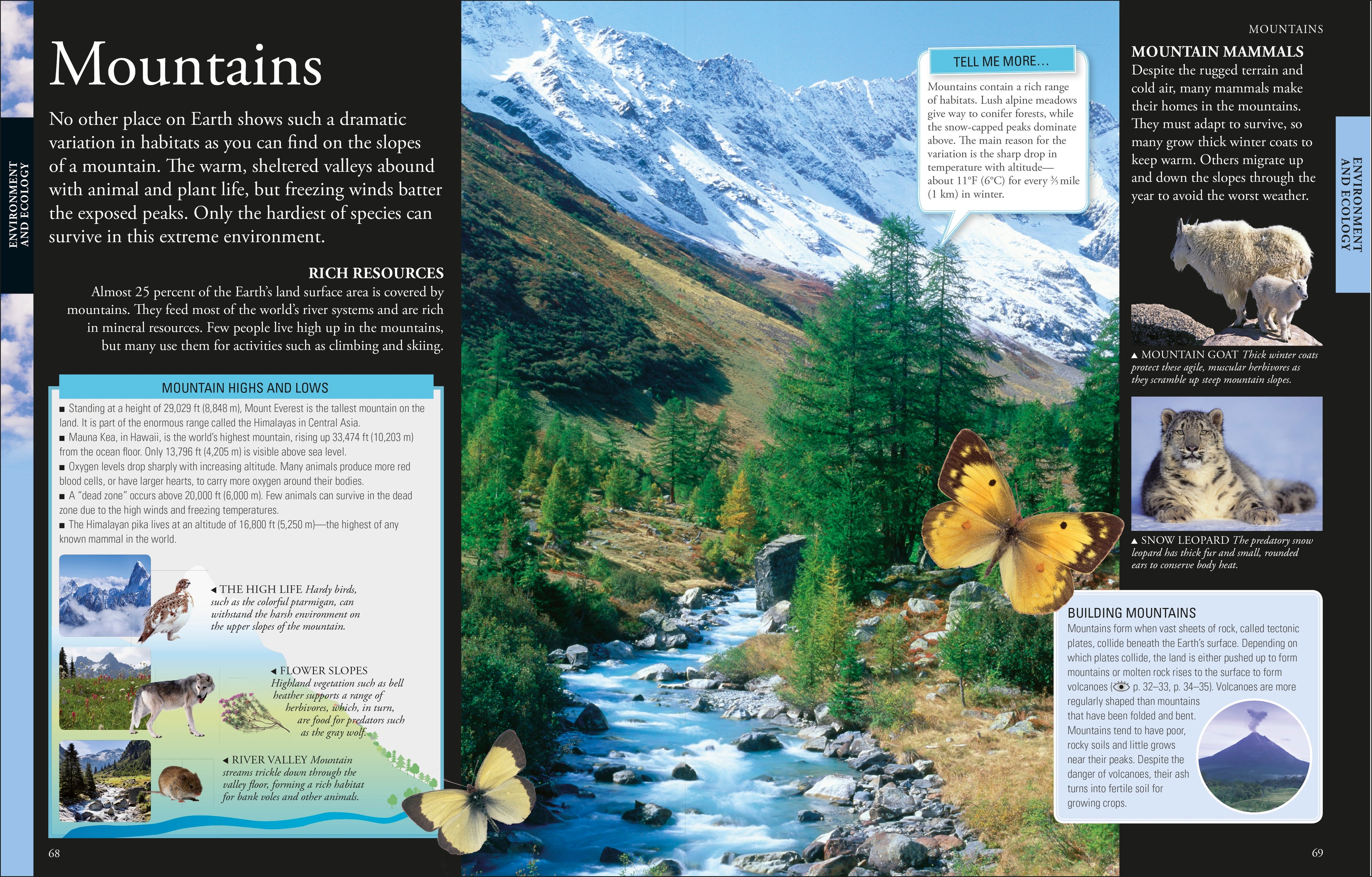 The New Children's Encyclopedia