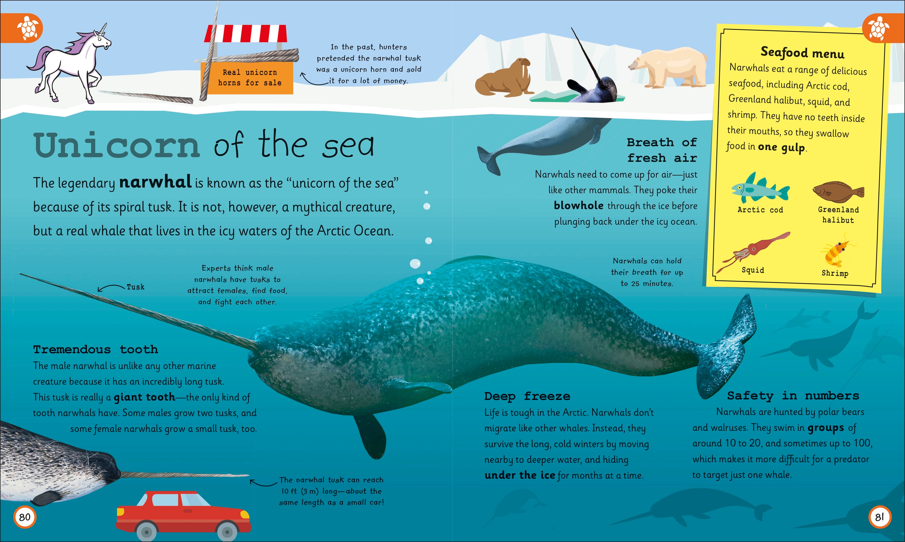 My Encyclopedia of Very Important Oceans