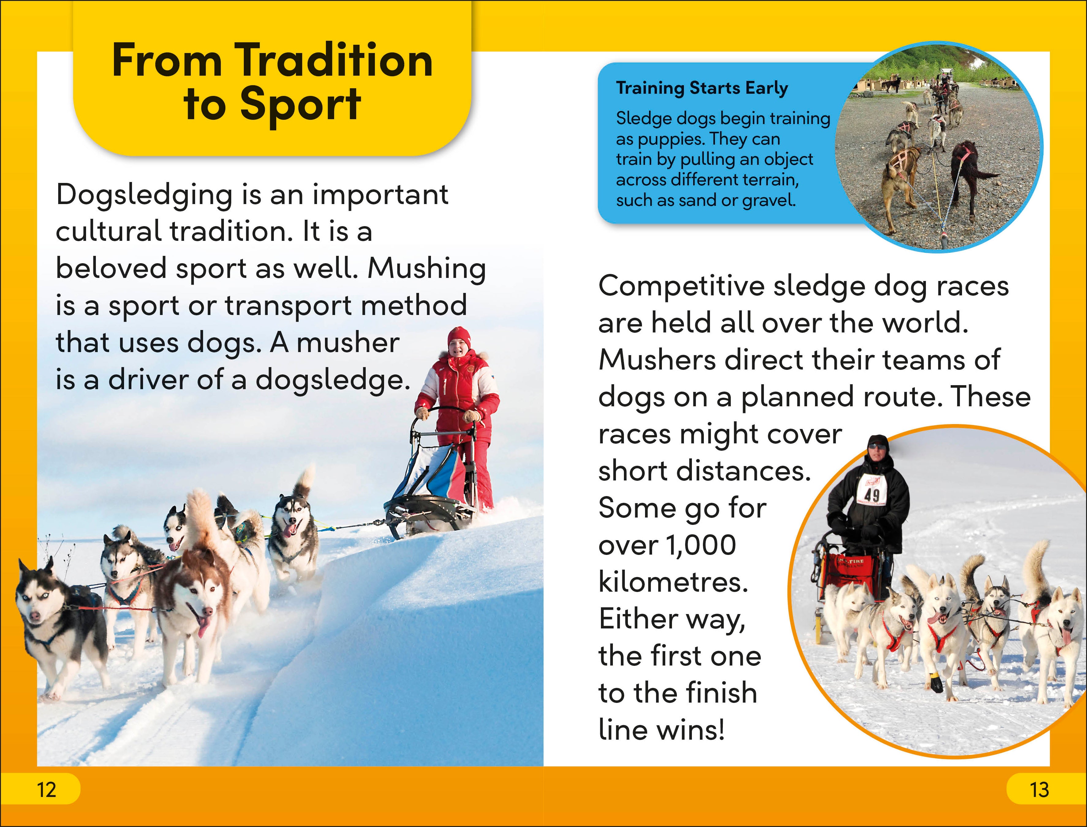 DK Super Readers Level 2 Snow Dogs