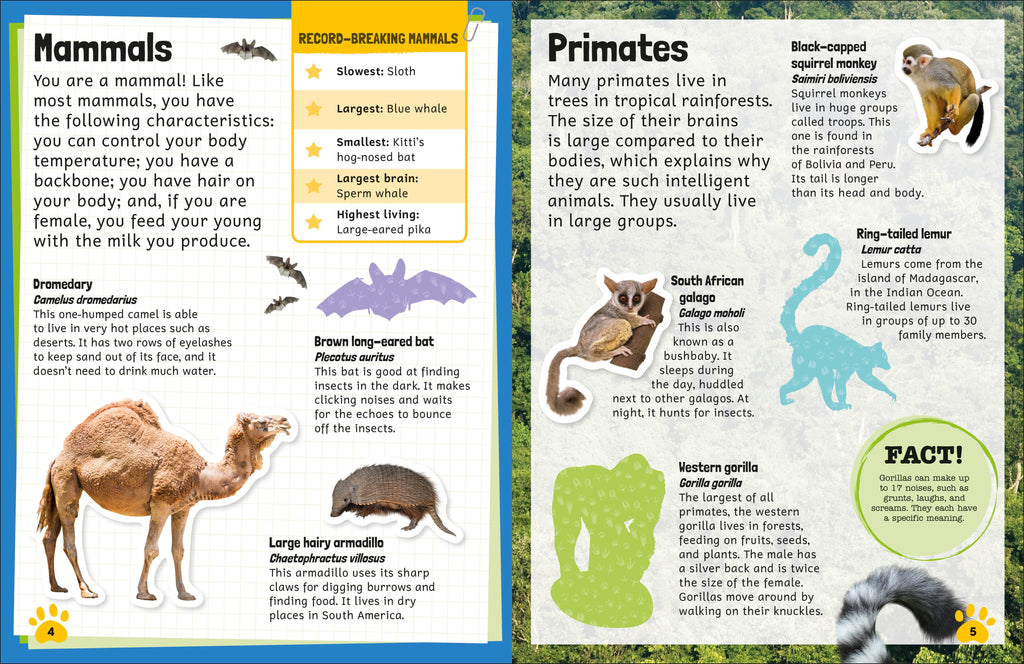 Sticker Encyclopedia Animals