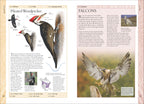 Birds of Canada 2nd Edition