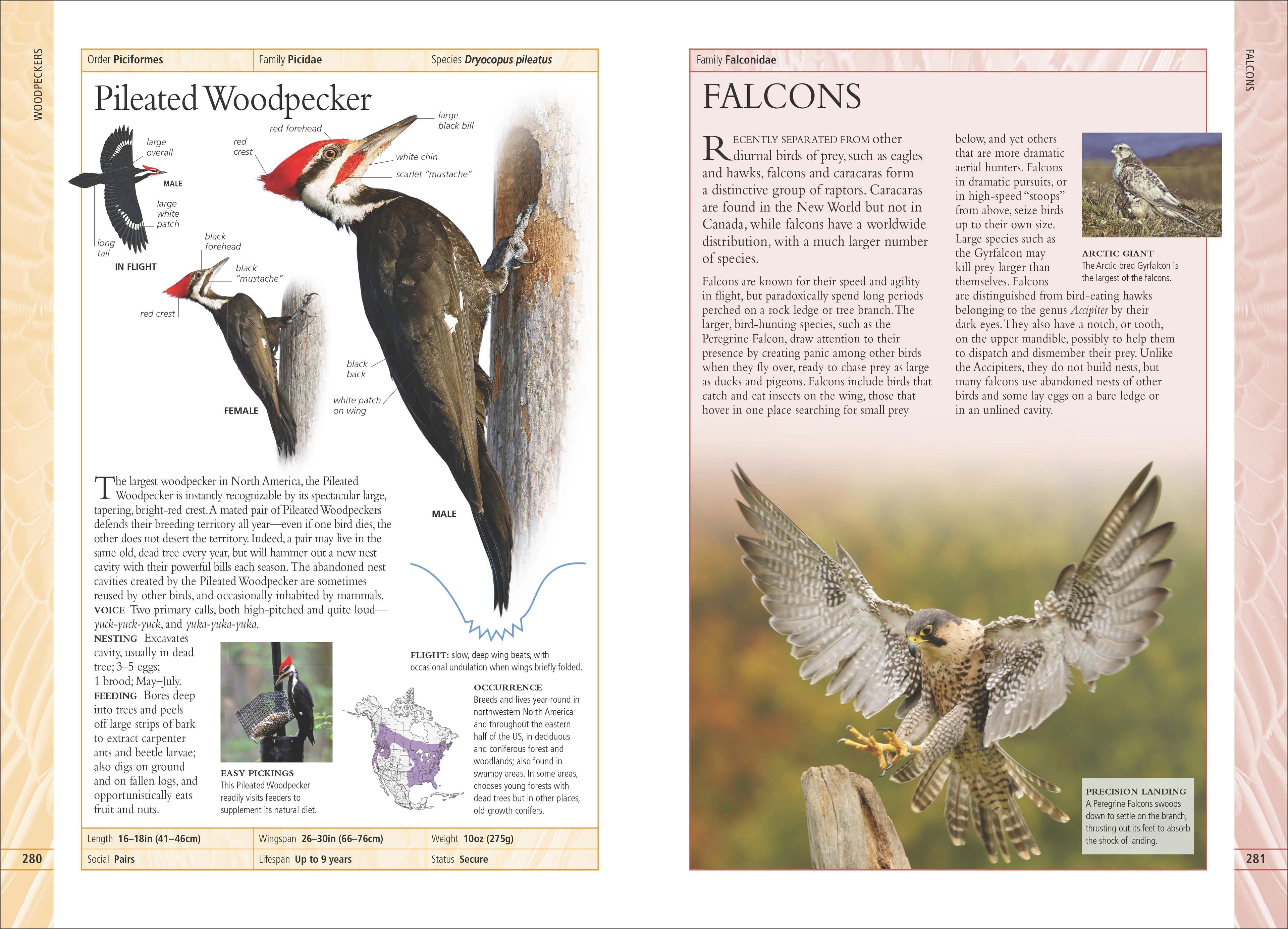 Birds of Canada 2nd Edition