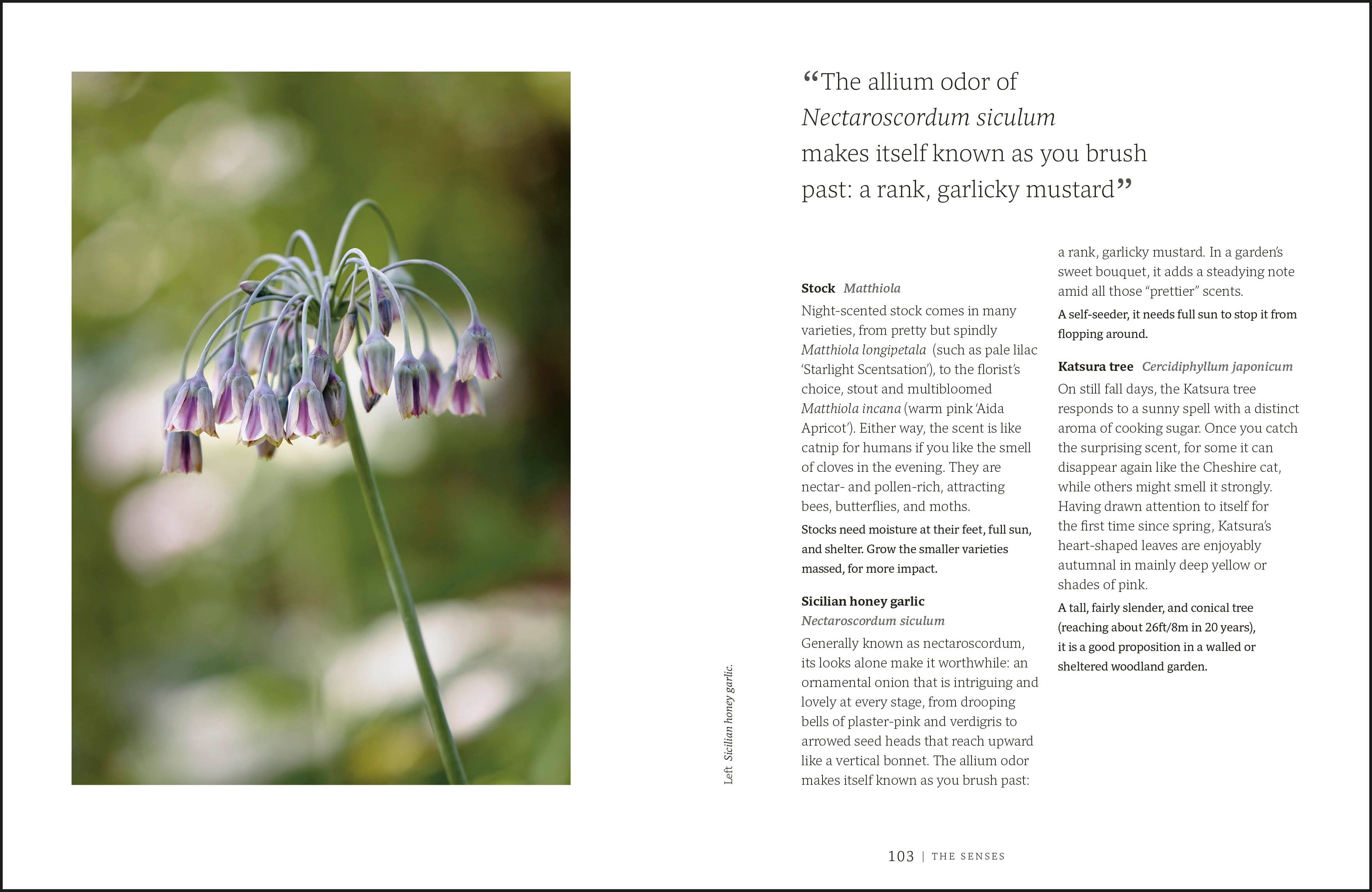 Garden for the Senses-Spread, Image, (PRHC, Design, Do, Not, Use)-5