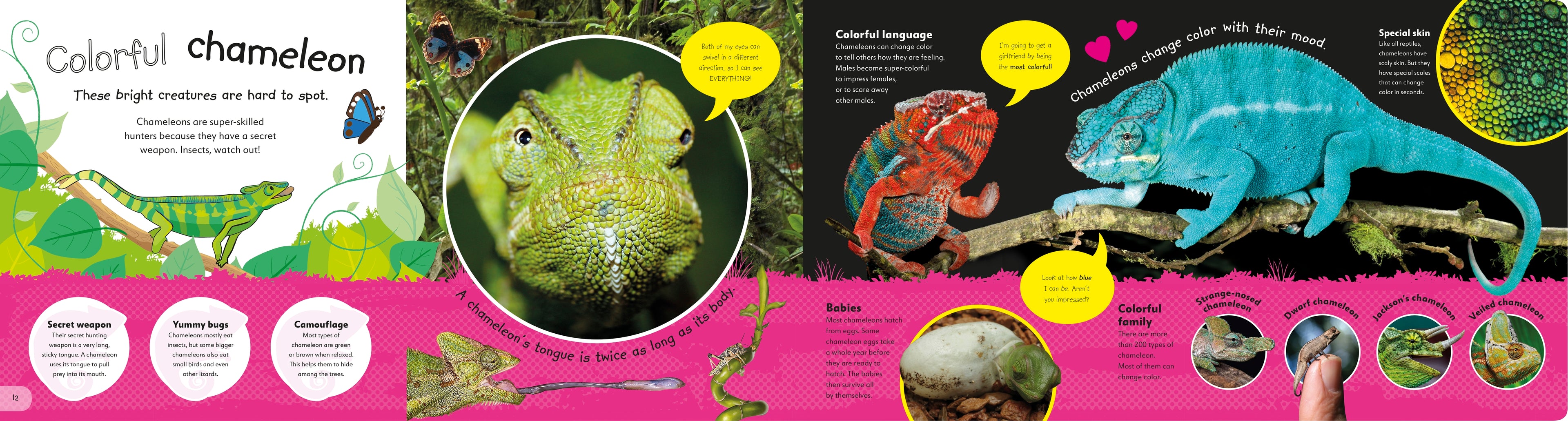 The Incredible Fold-Out Book of Animals