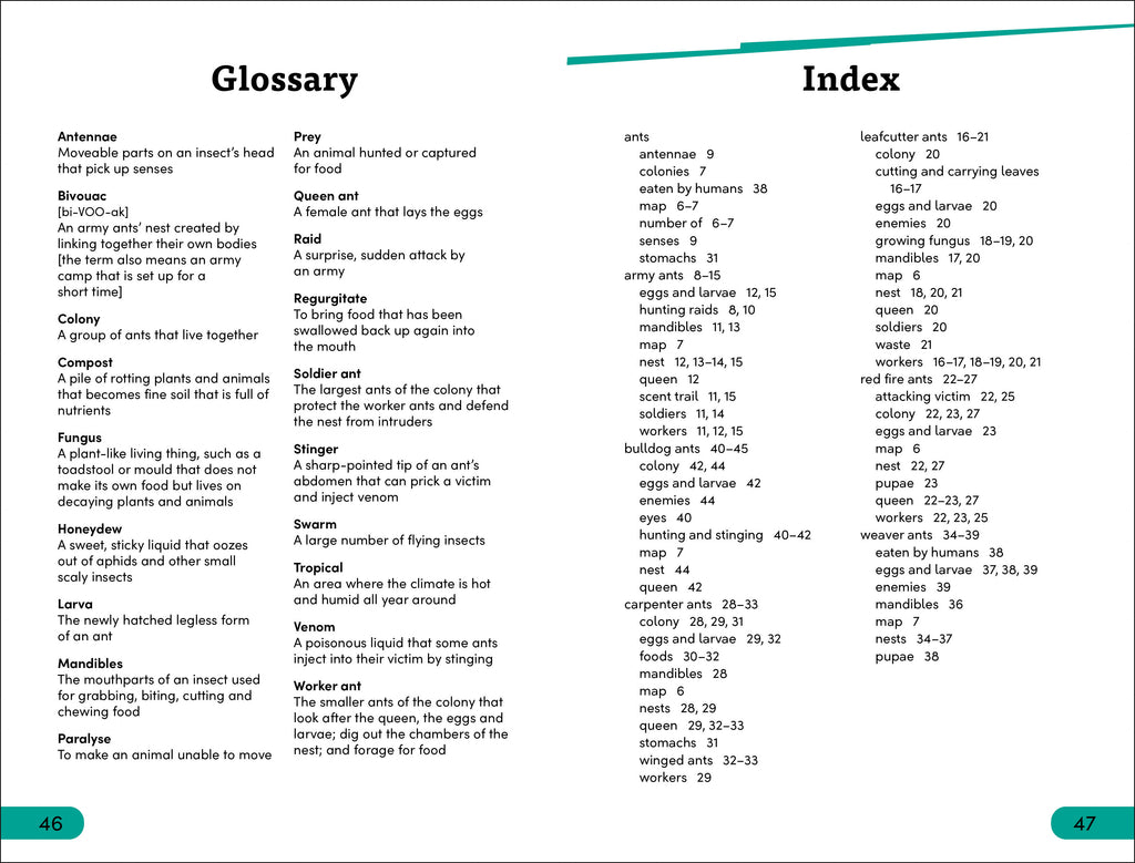 DK Super Readers Level 3 Ant Antics