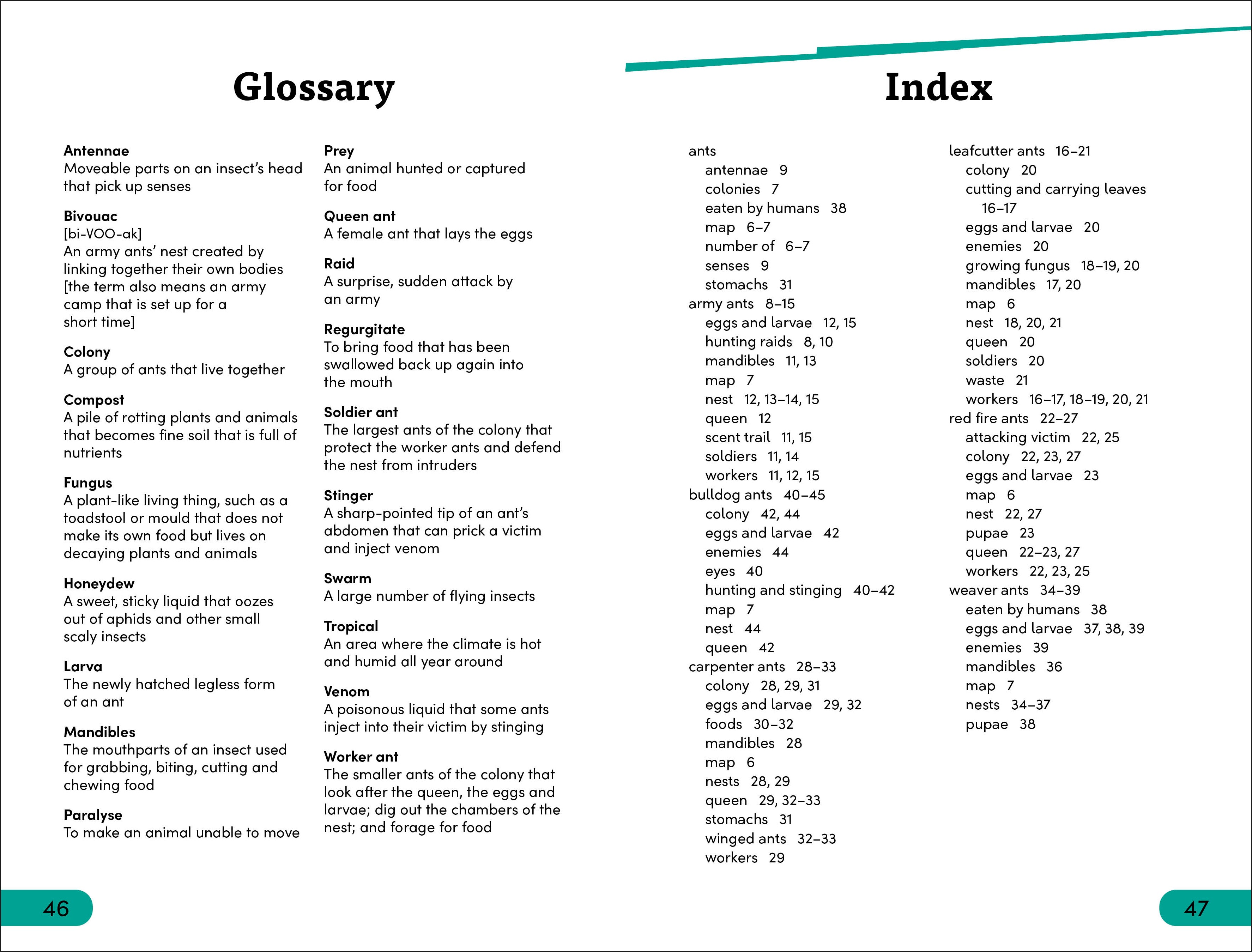 DK Super Readers Level 3 Ant Antics