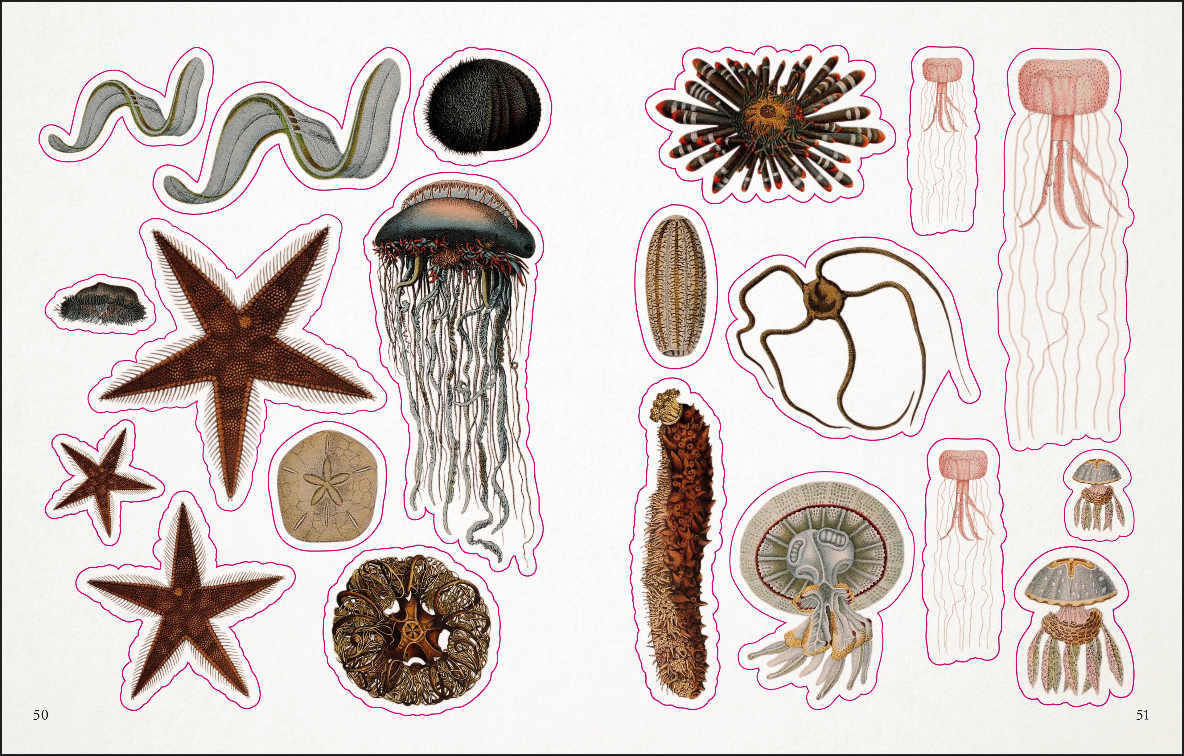 The Seashore Sticker Anthology-Spread, Image, (PRHC, Design, Do, Not, Use)-4