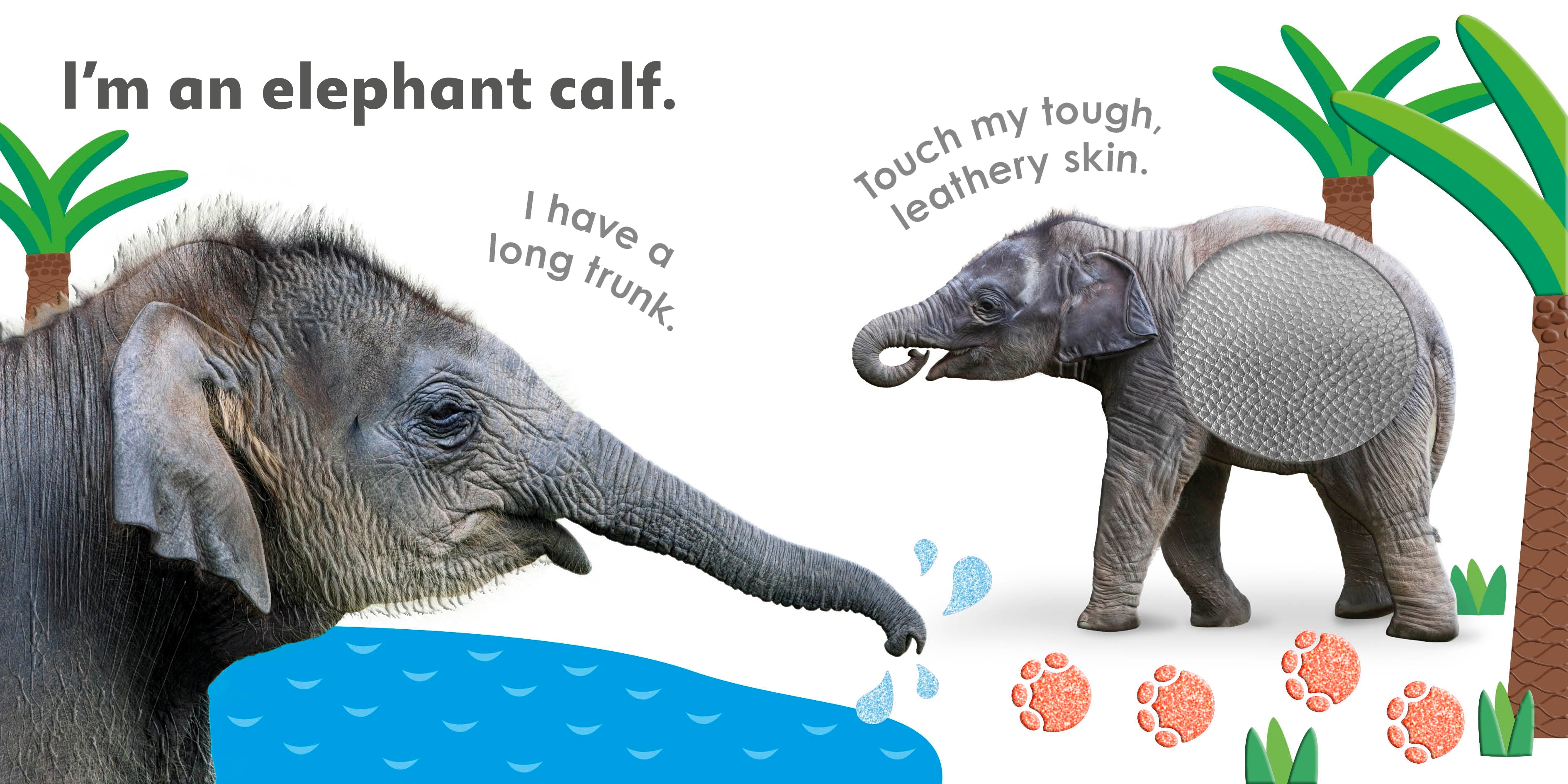 Really Feely Wild Animals