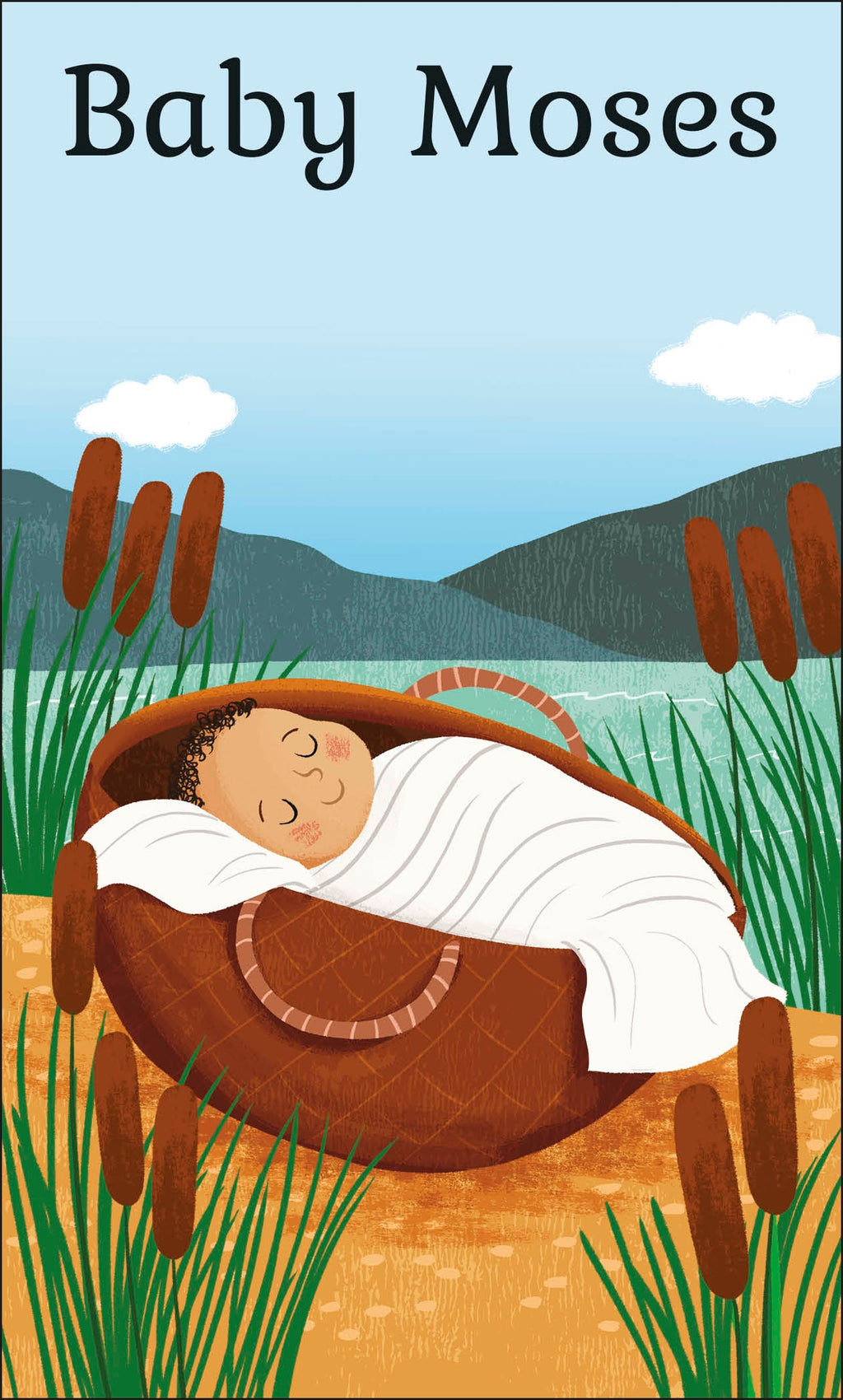 My First Bible Picture Cards