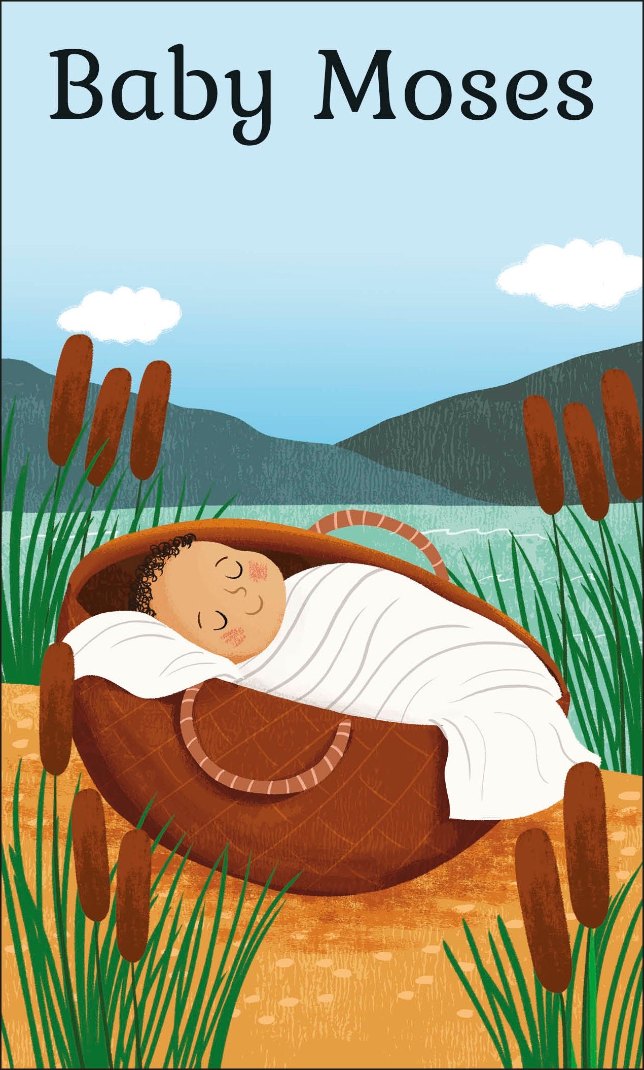 My First Bible Picture Cards