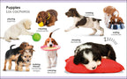 My First Bilingual Pets / los mascotas-Spread, Image, (PRHC, Design, Do, Not, Use)-2
