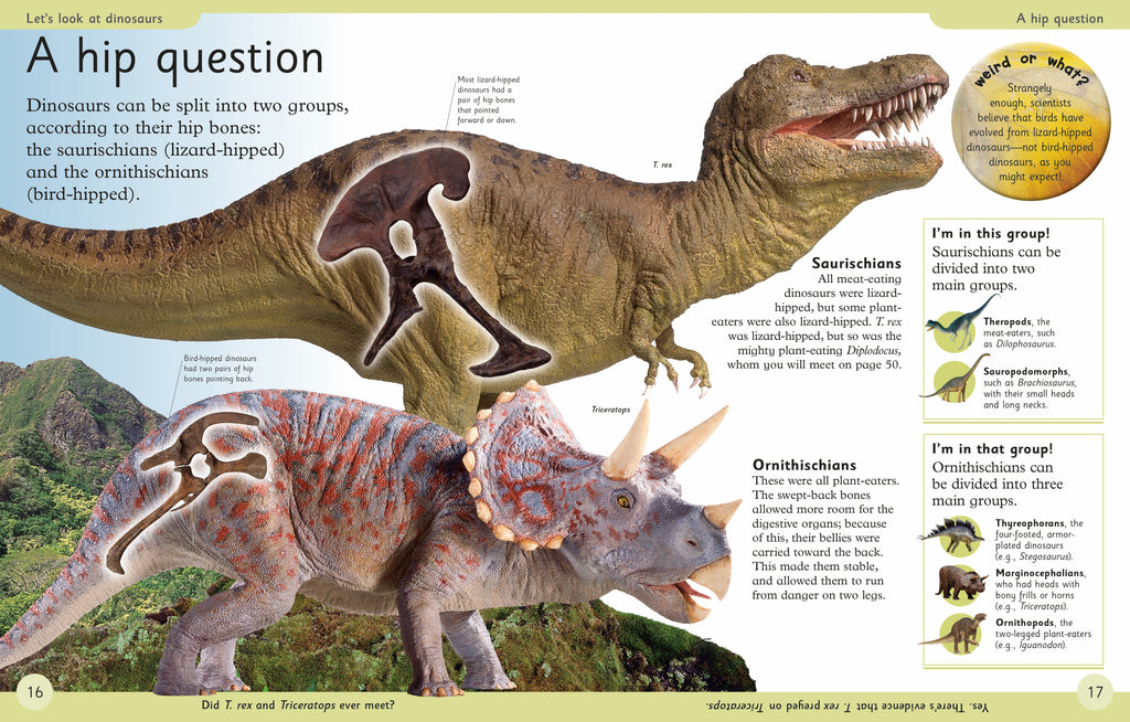 First Dinosaur Encyclopedia