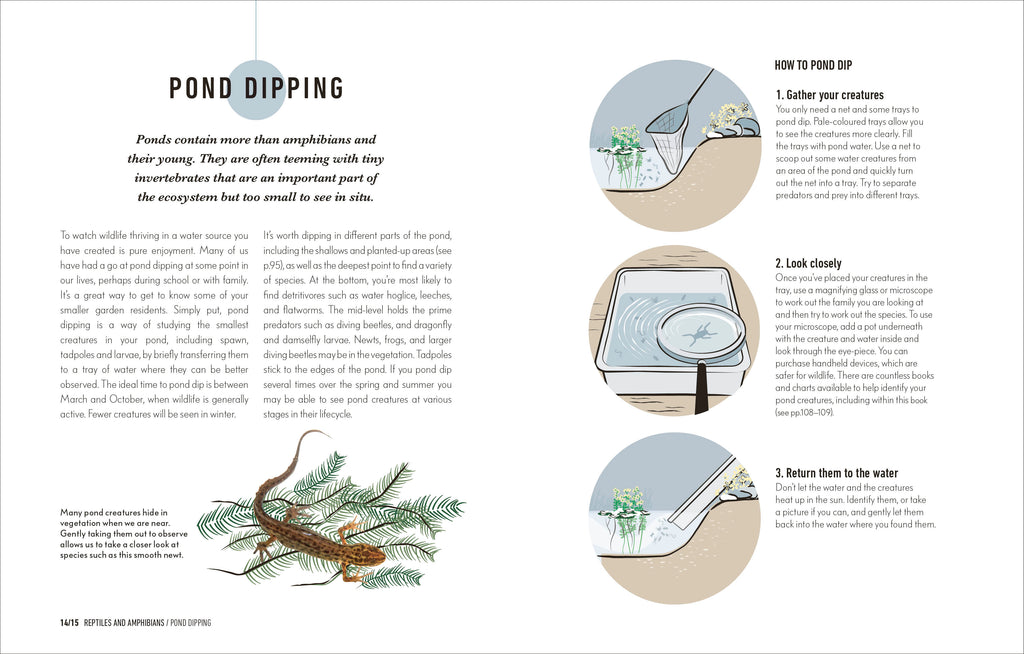 How to Attract Wildlife to Your Garden