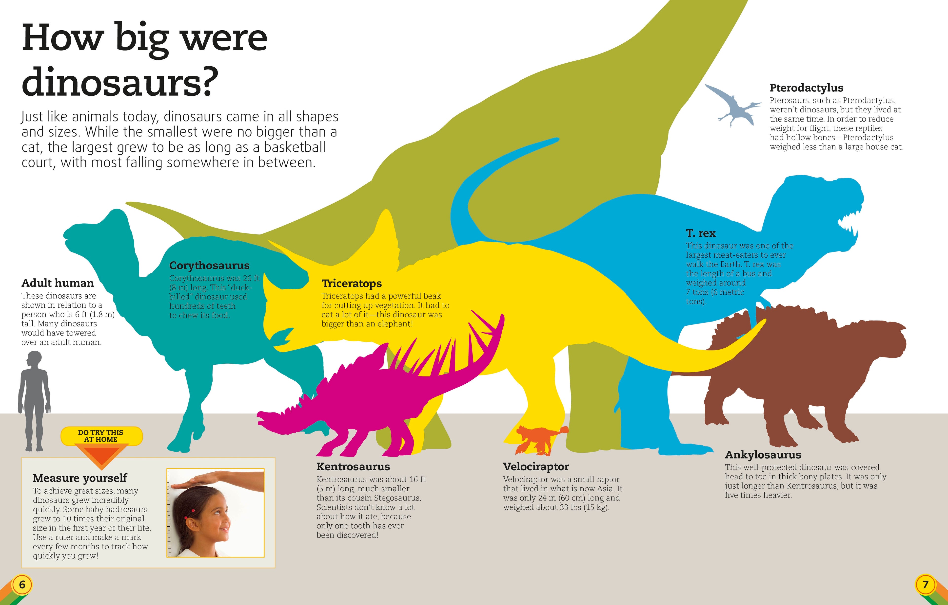 Utterly Amazing Dinosaur